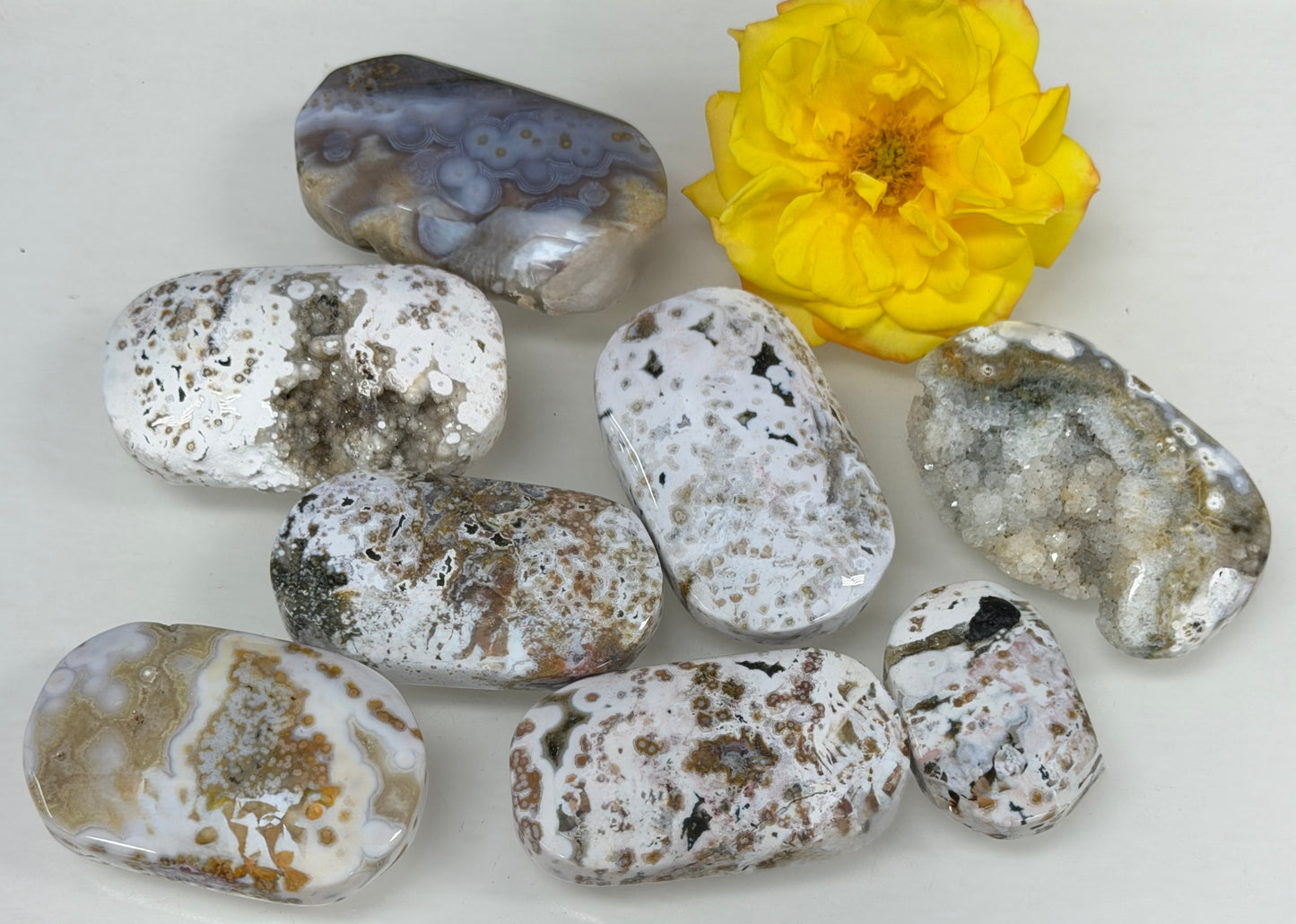 Wholesale 1 lb Lot Natural Ocean Jasper Palm Stone Crystal Energy