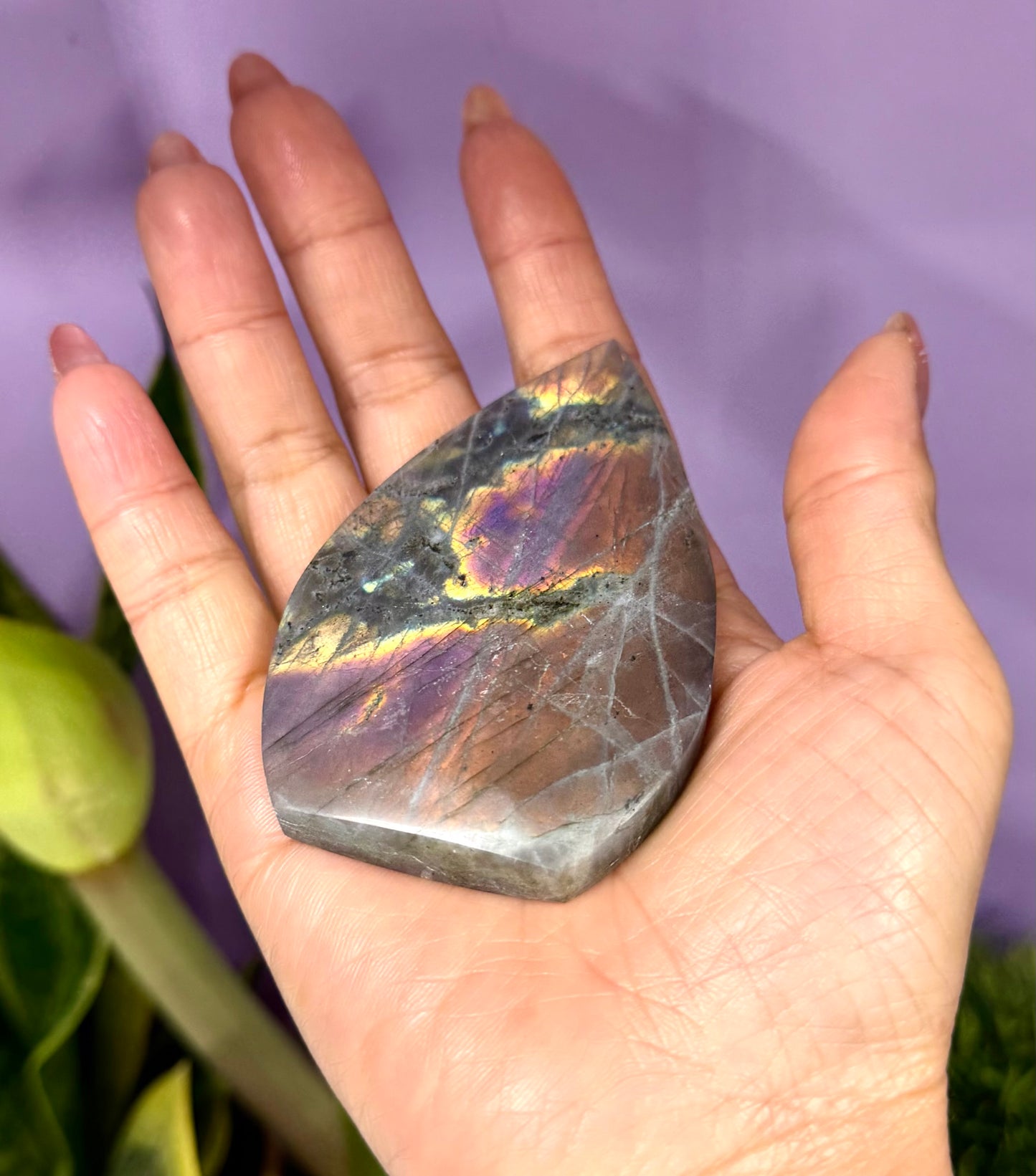 2 lbs Natural Sunset Labradorite Freeform Crystal Wholesale
