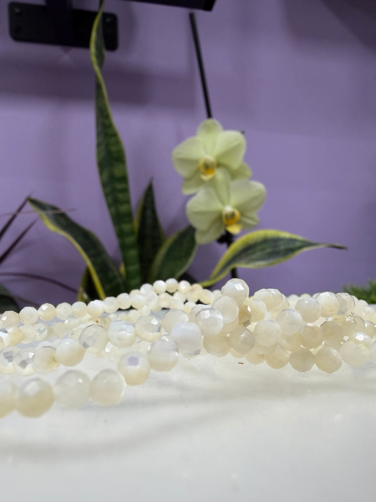 Wholesale 6 Pcs 4mm Faceted Mother of Pearl Stretch Bracelet 7.5"