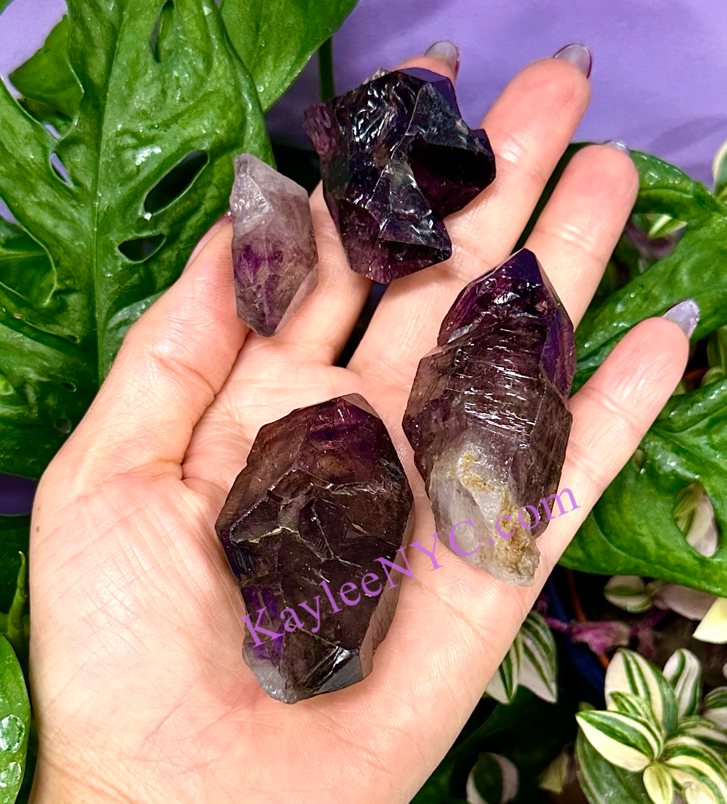 4 PCs Natural Shangaan Amethyst Zimbawa Raw Crystal ~150g
