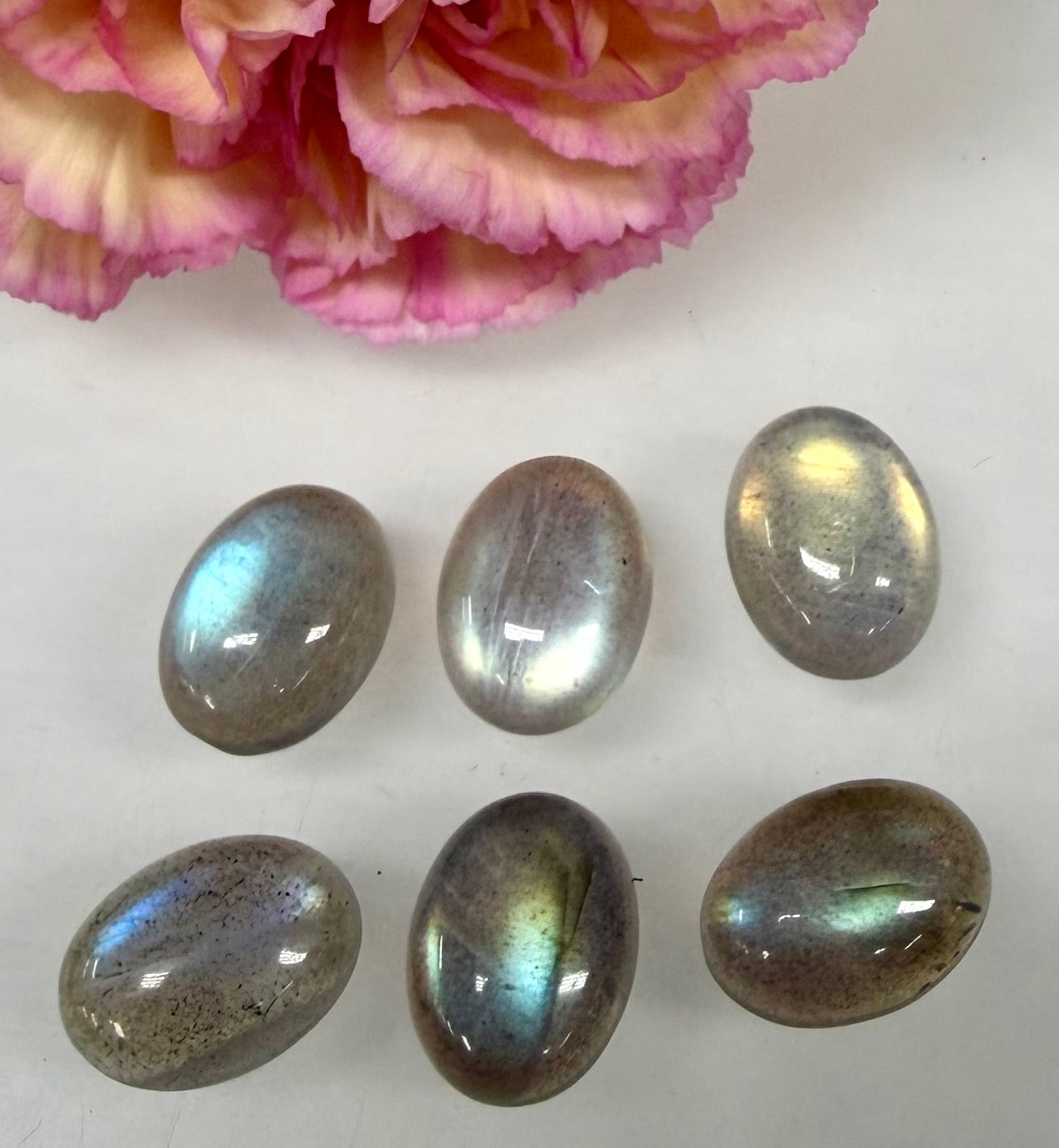 Wholesale Lot 6 pcs Natural Labradorite Cabochon Crystal Healing Energy ~12x16mm