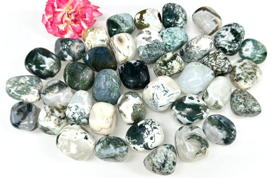 Wholesale Lot 2 lbs Natural Moss Agate Tumble Crystal Healing Energy