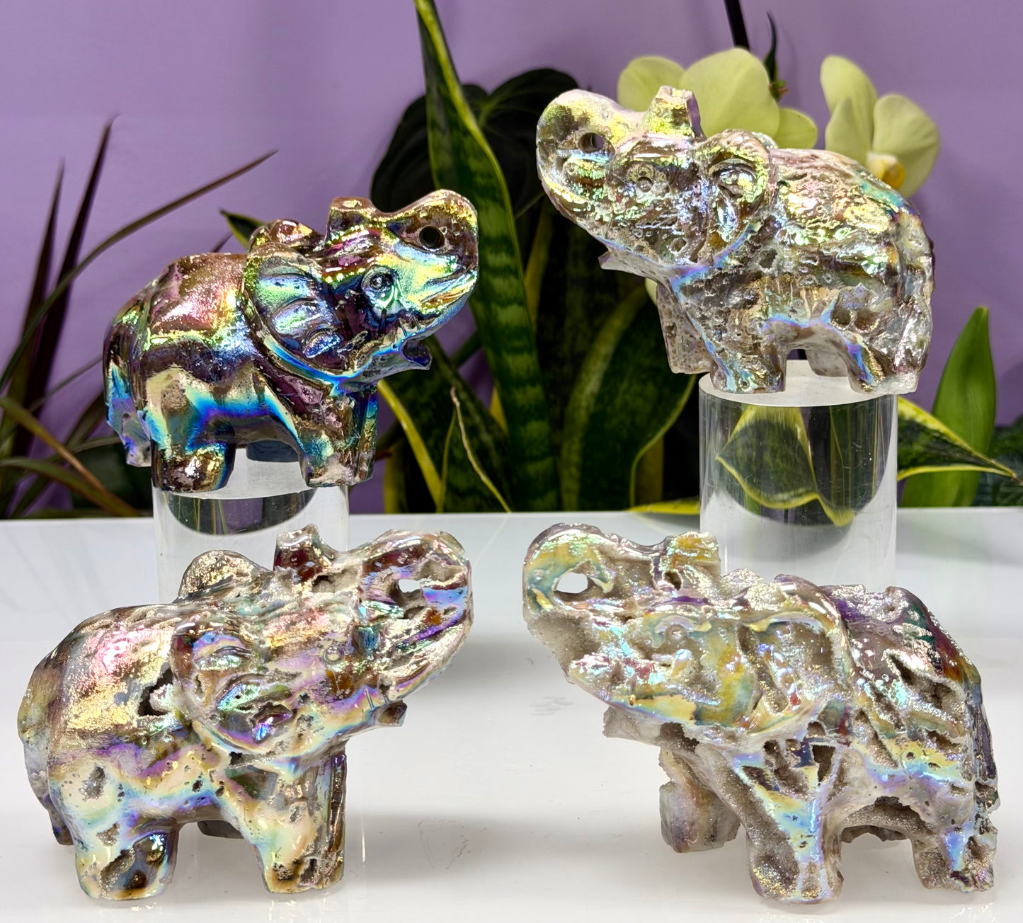 Wholesale Lot 4 Pcs Aura Sphalerite Elephant carvings Crystal healing energy