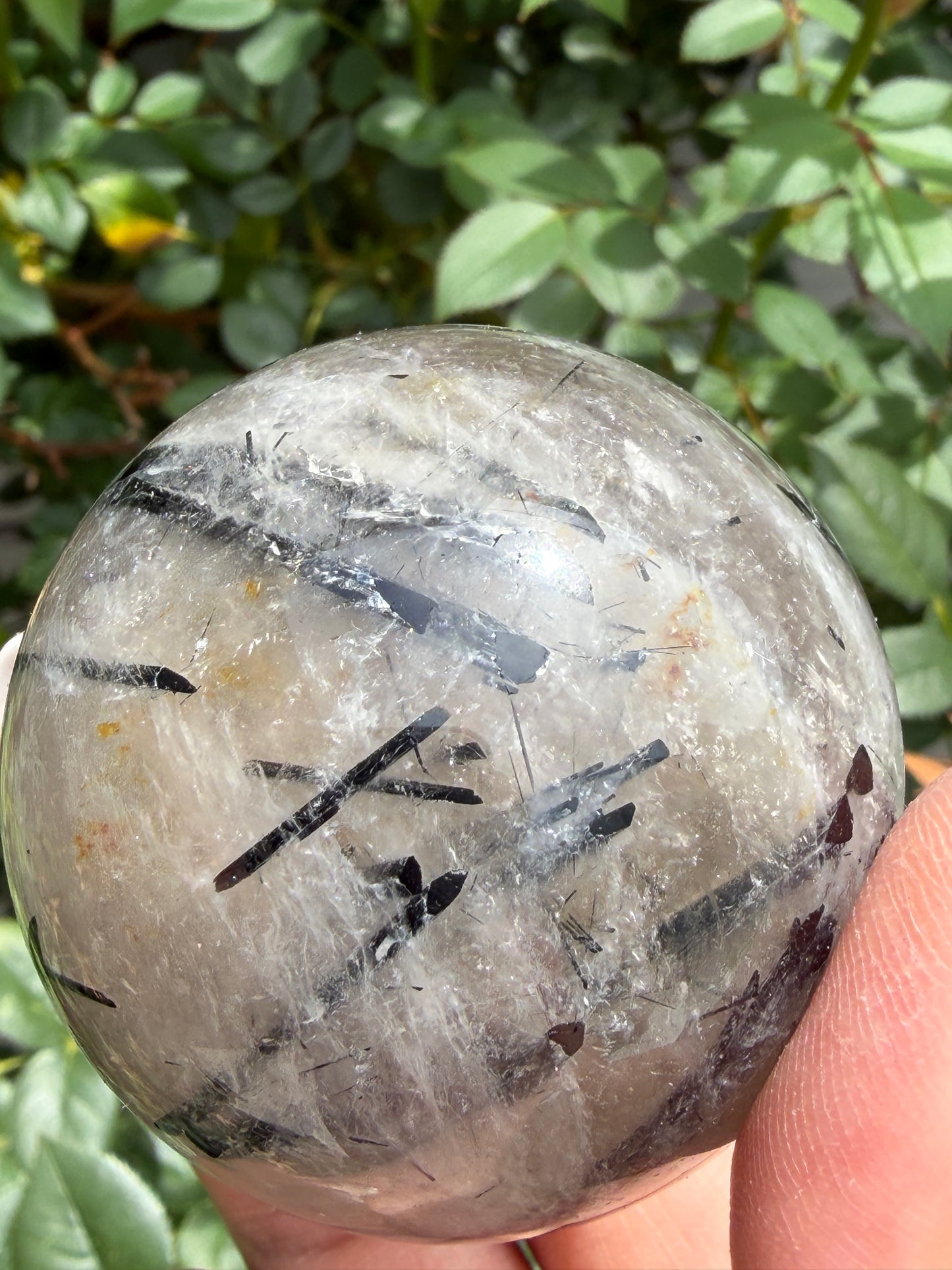 7-9 PCs Natural Tourmalinated Quartz Sphere