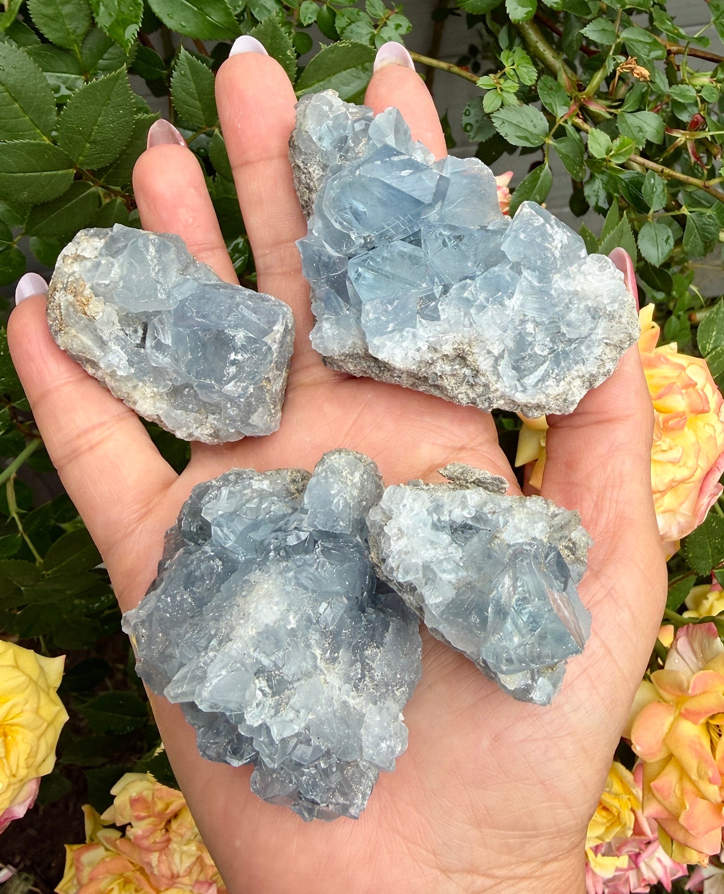 Wholesale Lot 2 Lbs Natural Celesitite Cluster Crystal