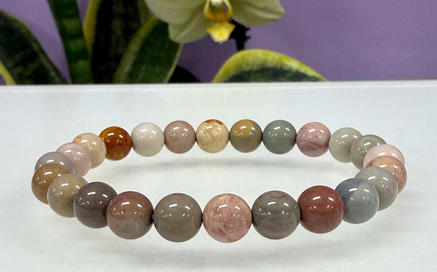 6 PCs 8mm Natural Alashan Agate Stretch Bracelet 7.5”