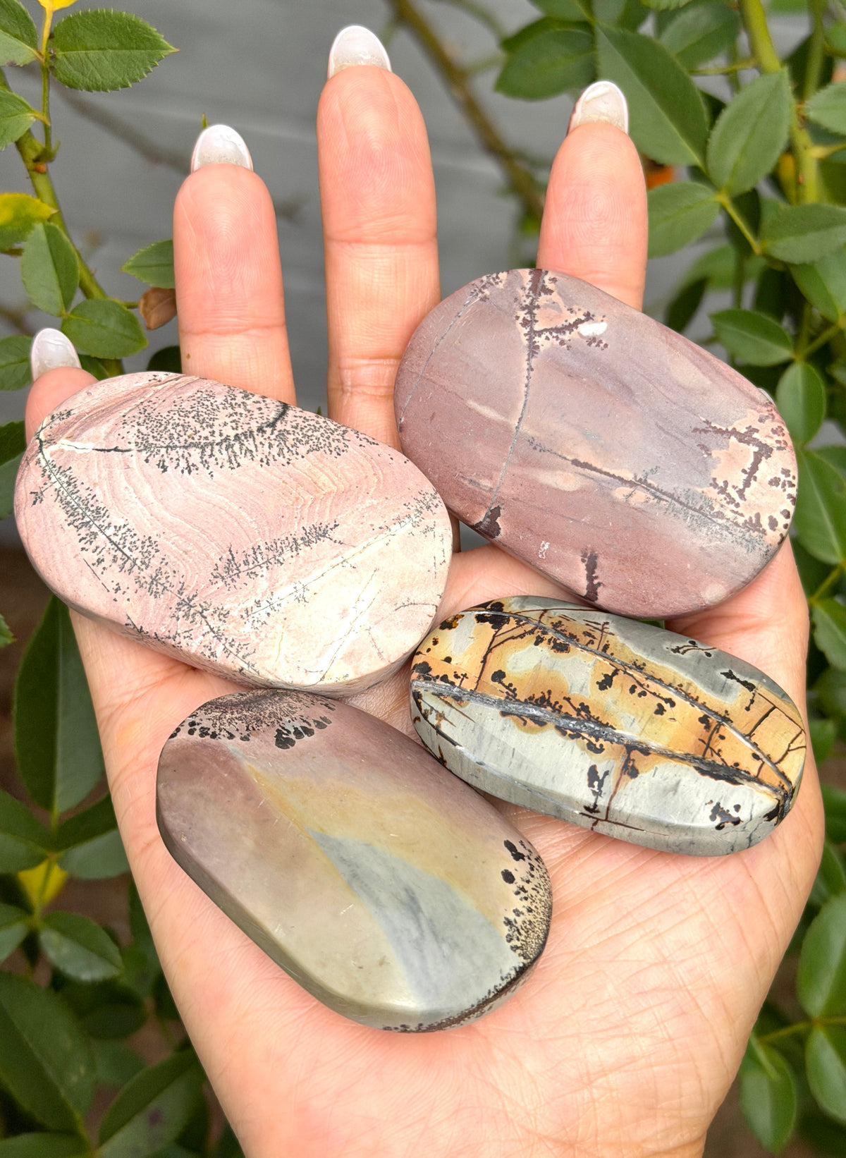 Wholesale 2 Lb Lot Natural Picture Jasper Palm Stones Crystal Natural Energy