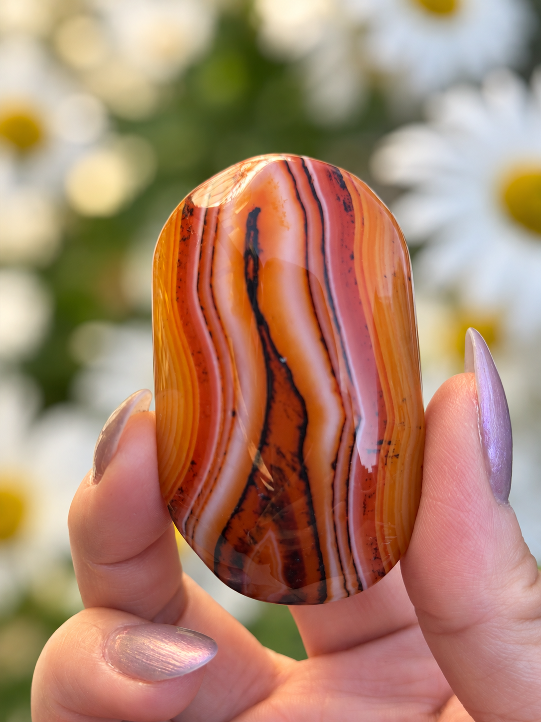 Wholesale Lot 2 Lbs Natural Sardonyx Palm Stone Crystal