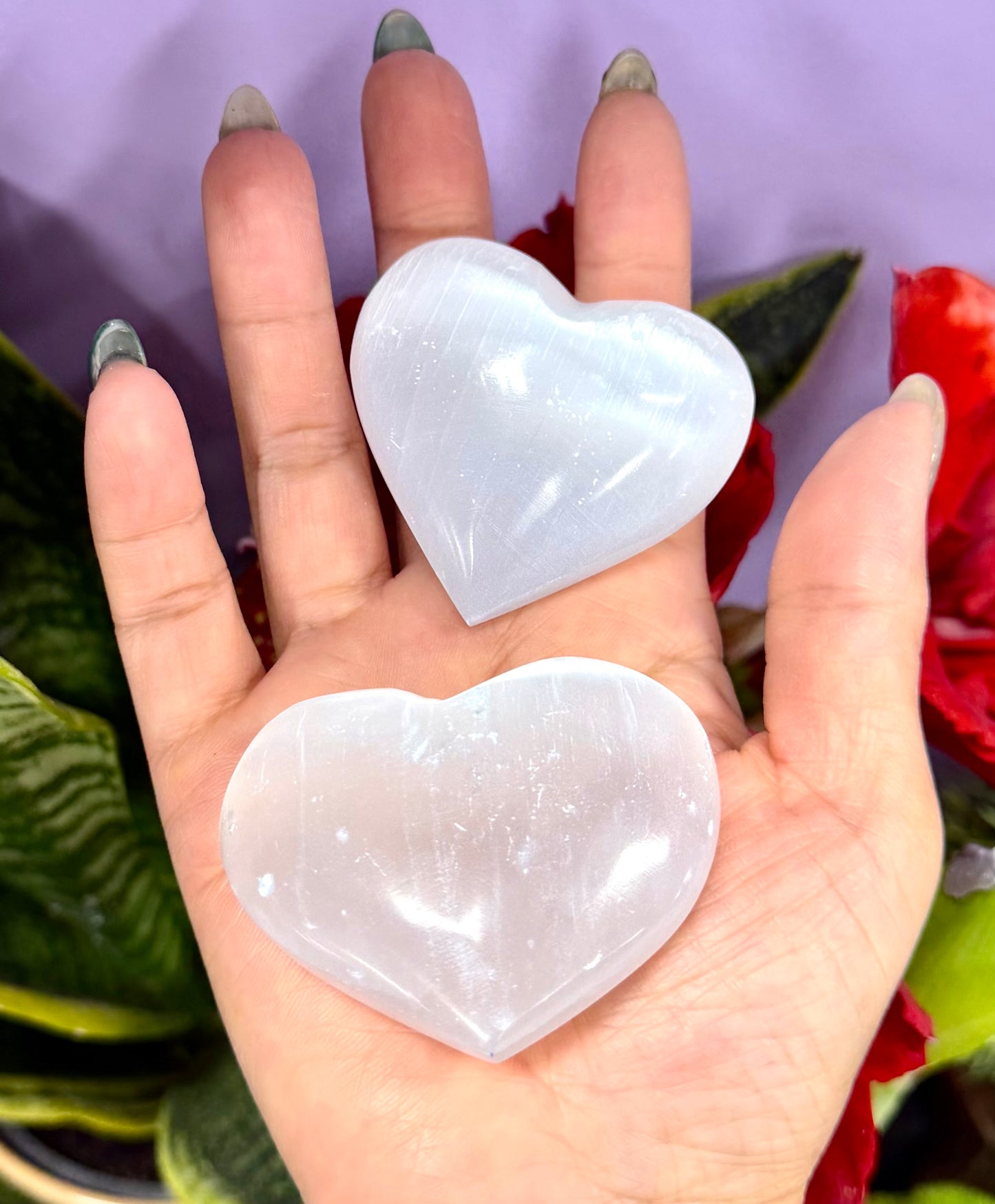 12 PCs large Natural Selenite aka Satin Spar Heart ~5.5cm