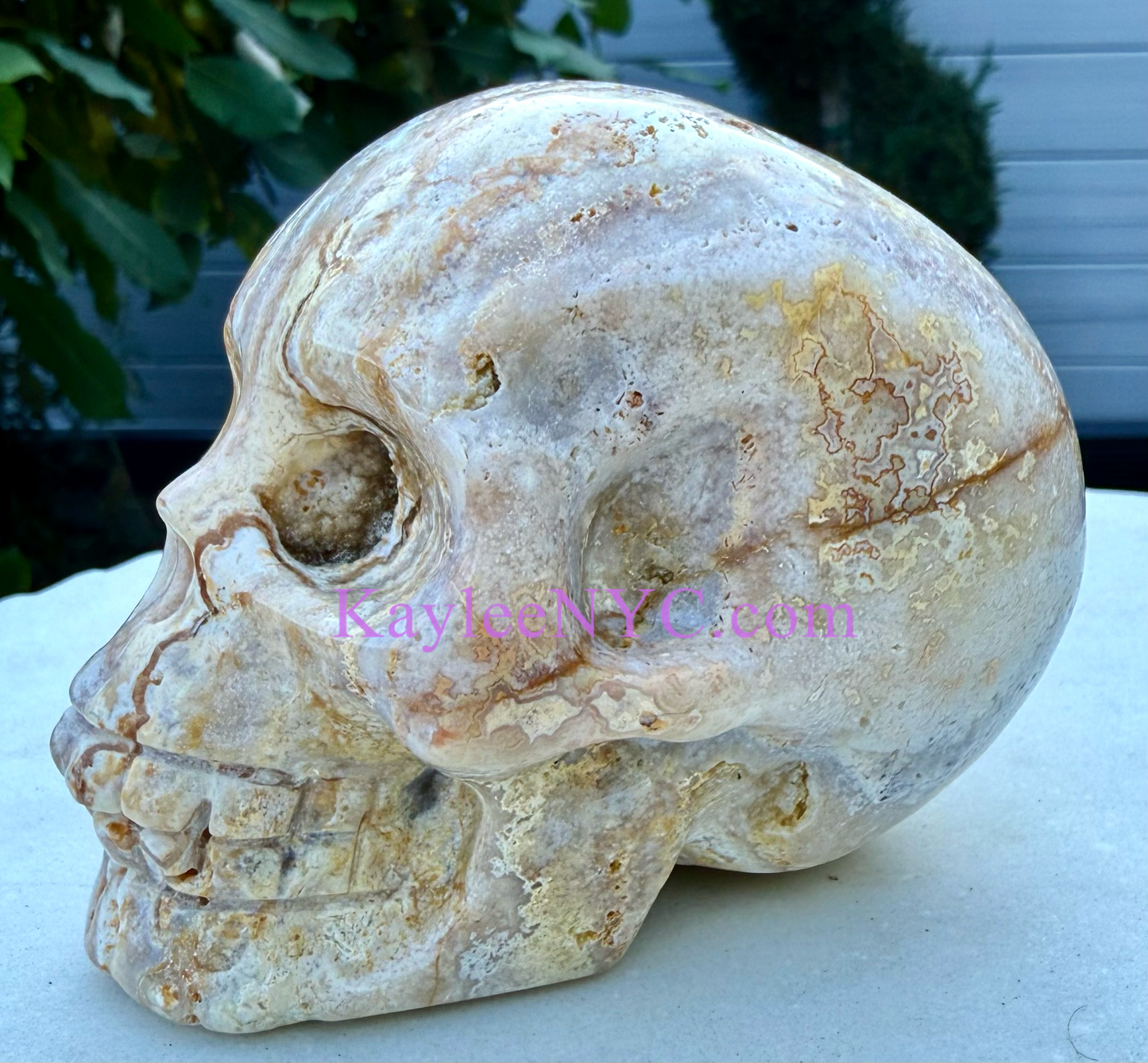 Wholesale lot 3 Pcs Natural Crazy Lace Agate Crystal Skull