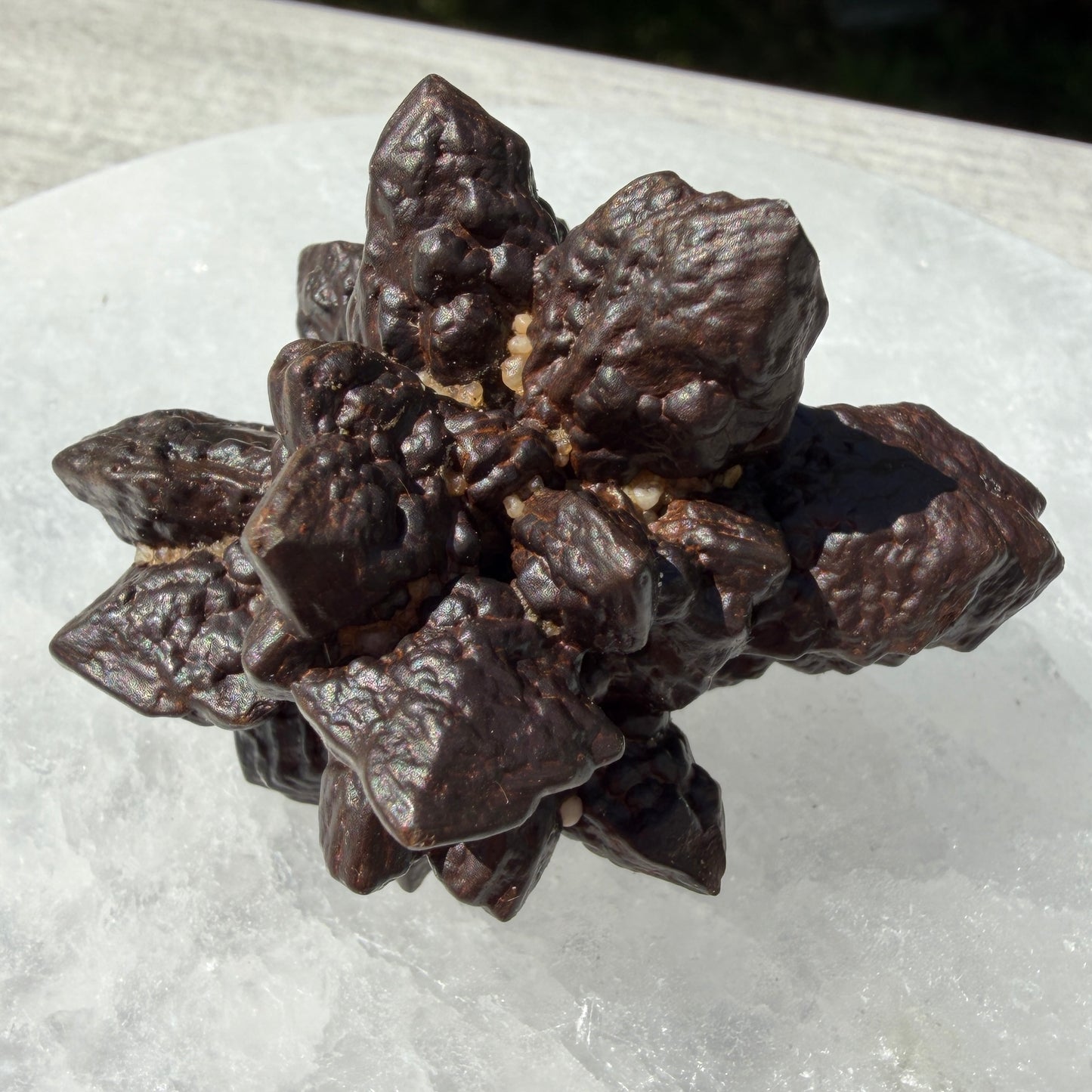 Wholesale Lot 2 Lbs Natural Prophecy Stones
