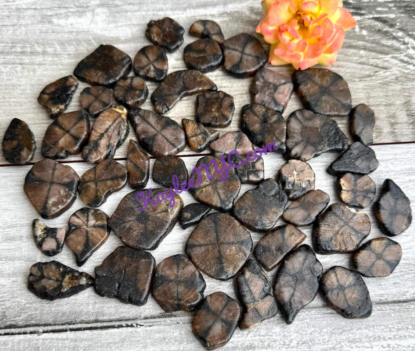 Wholesale Lot 1 lb Natural Chiastolite Tumble Crystal Healing Energy Nice Quality