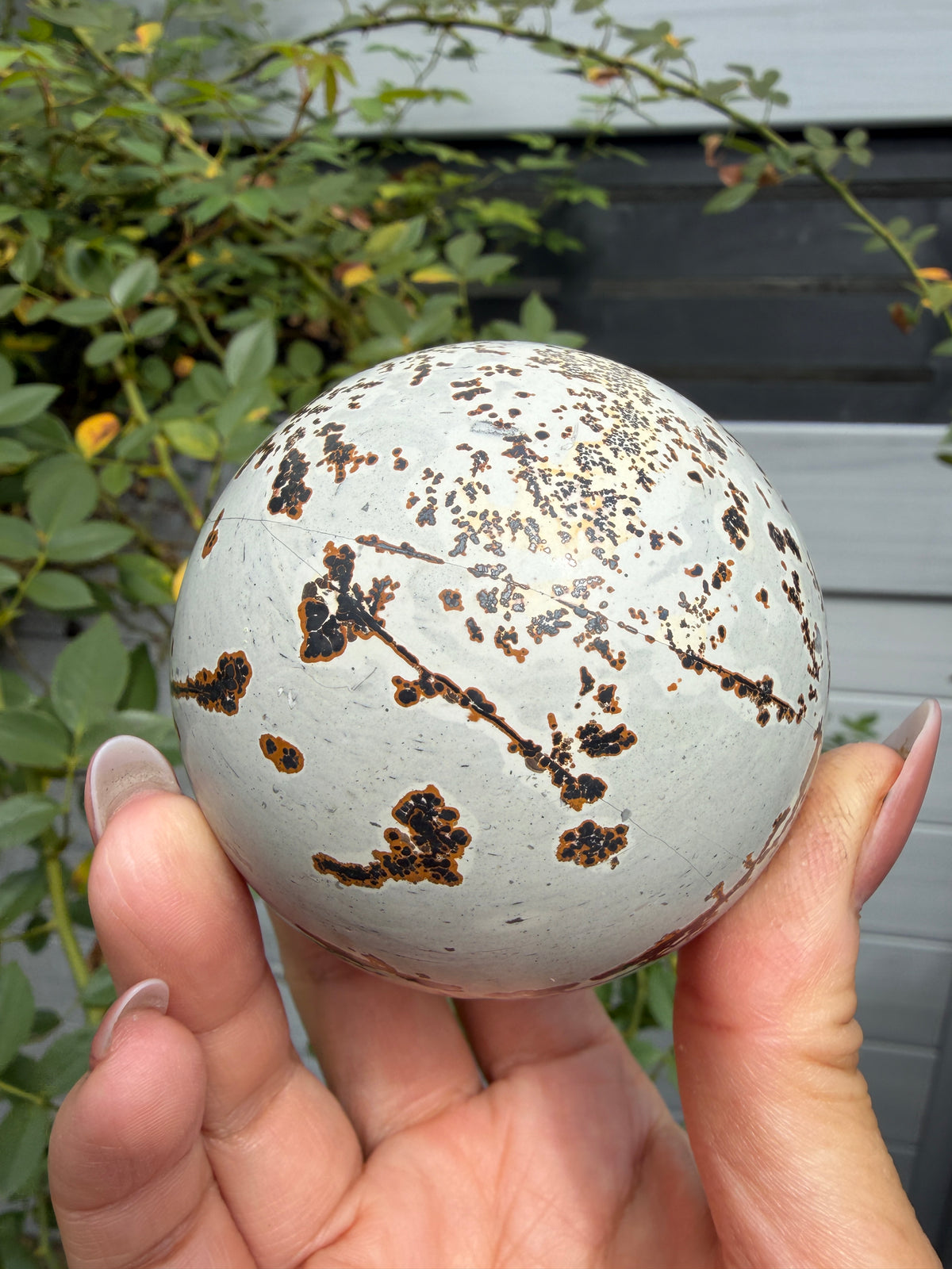 Wholesale Lot 3 Pcs Natural Picture Jasper Sphere Crystal Healing