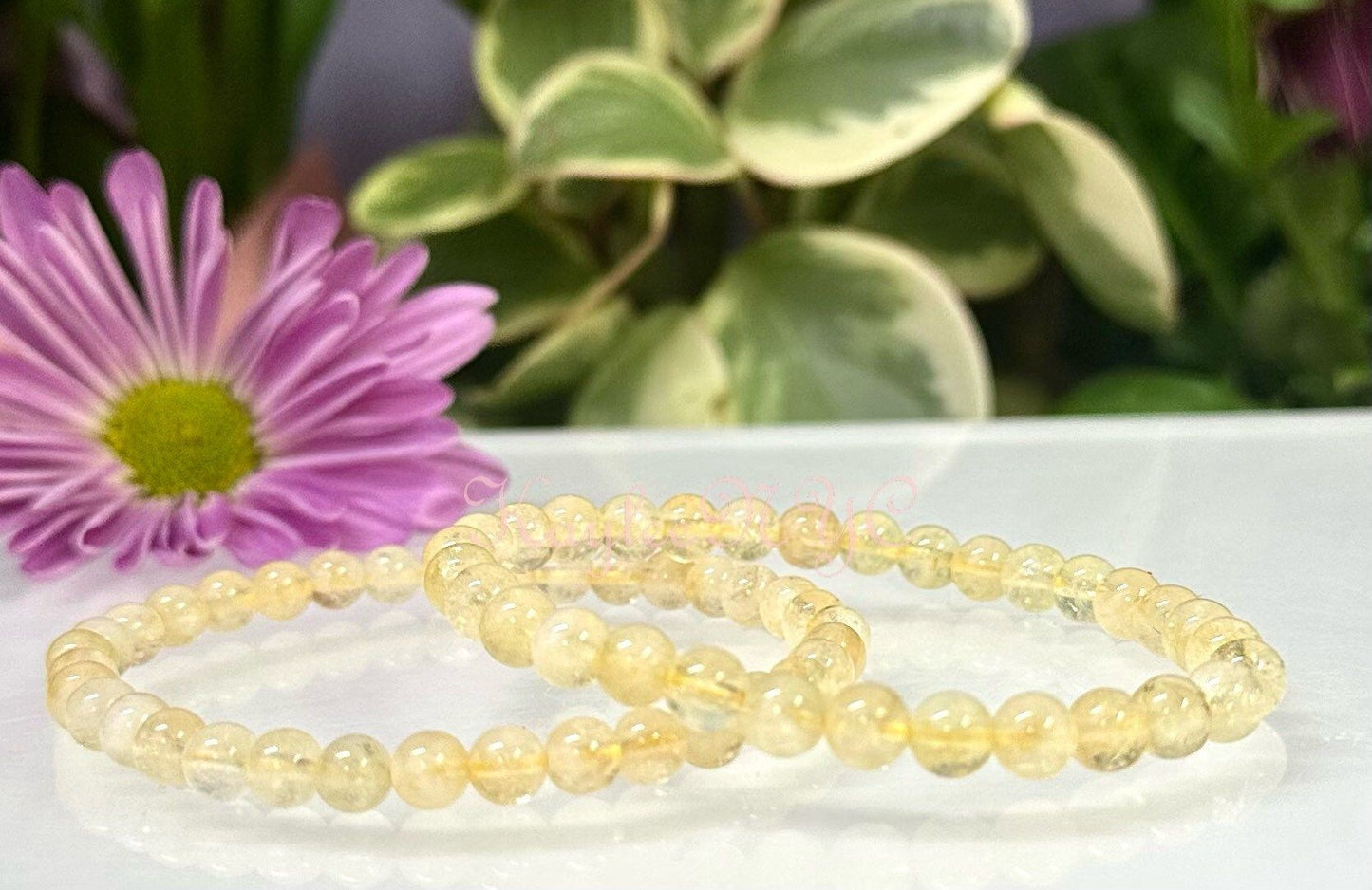 Wholesale 6 Pcs Natural Citrine 6mm 7.5” Crystal Healing Stretch Bracelet