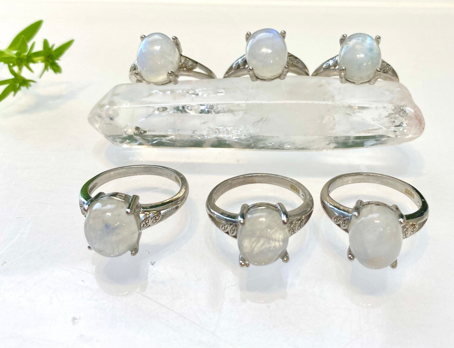 Wholesale Lot 6 pcs Natural Moonstone Ring White Bronze