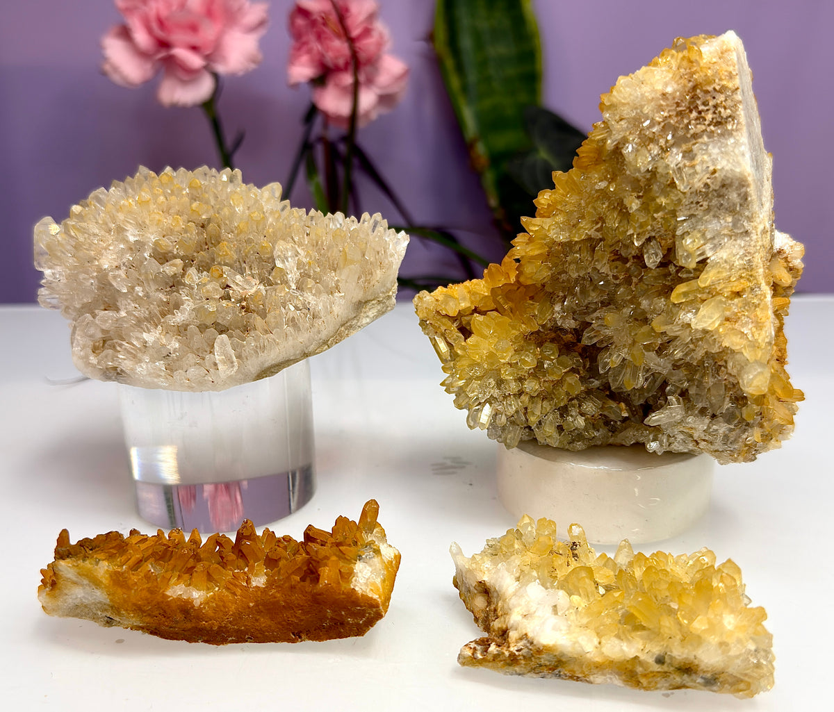 2 lbs Natural Yellow Chrysanthemum Quartz Cluster Crystal