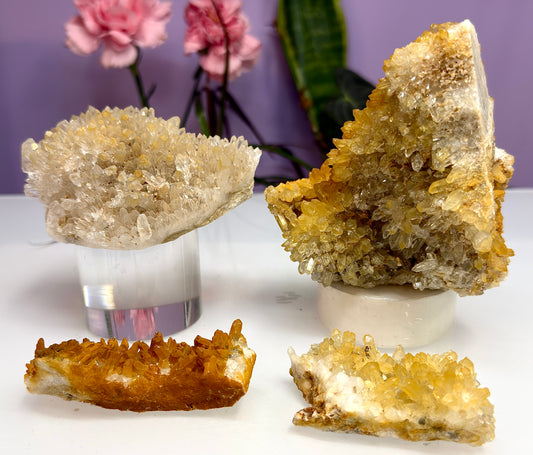2 lbs Natural Yellow Chrysanthemum Quartz Cluster Crystal