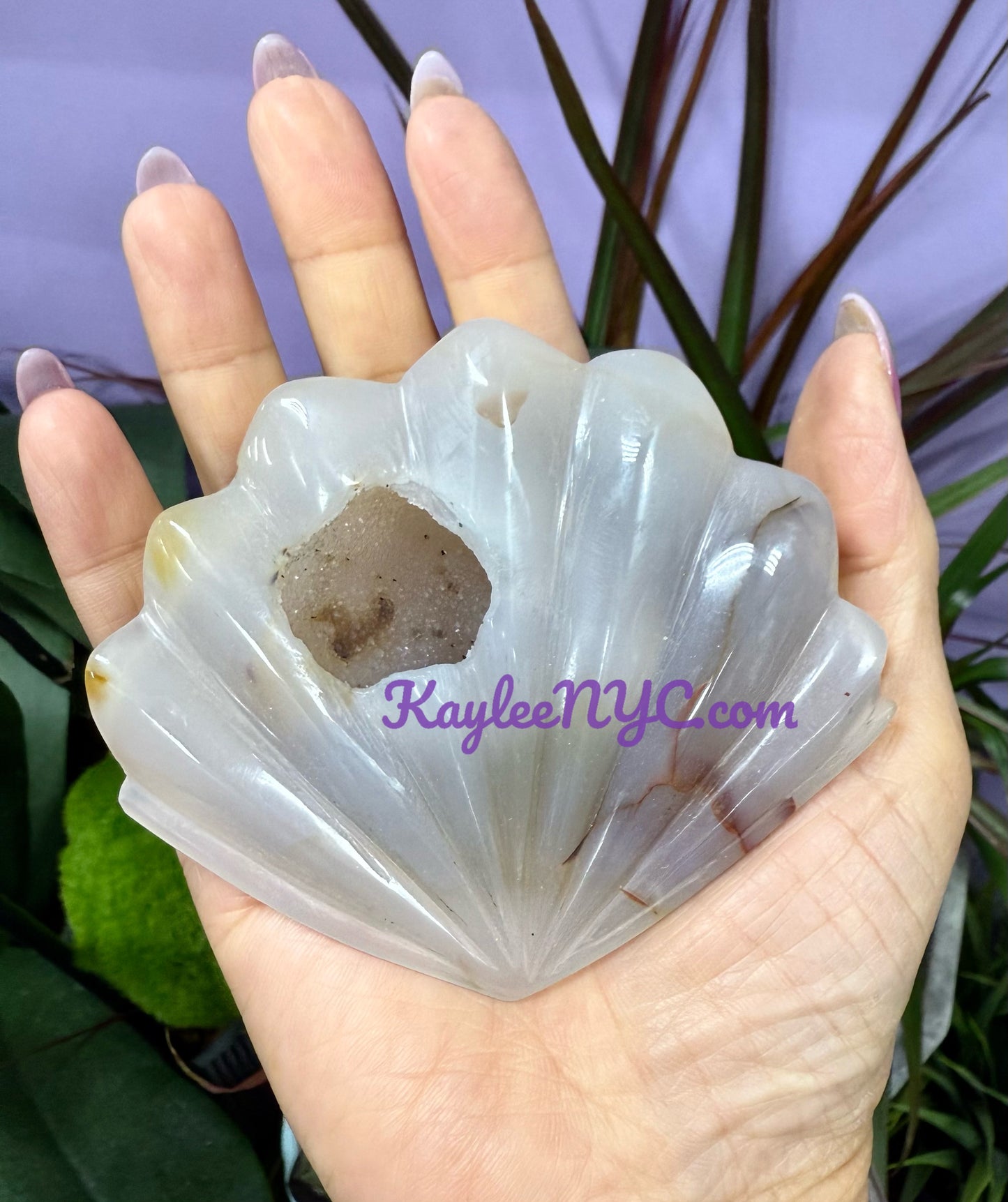 6-9 PCs Natural Druzy Agate Shell Crystals Healing Energy