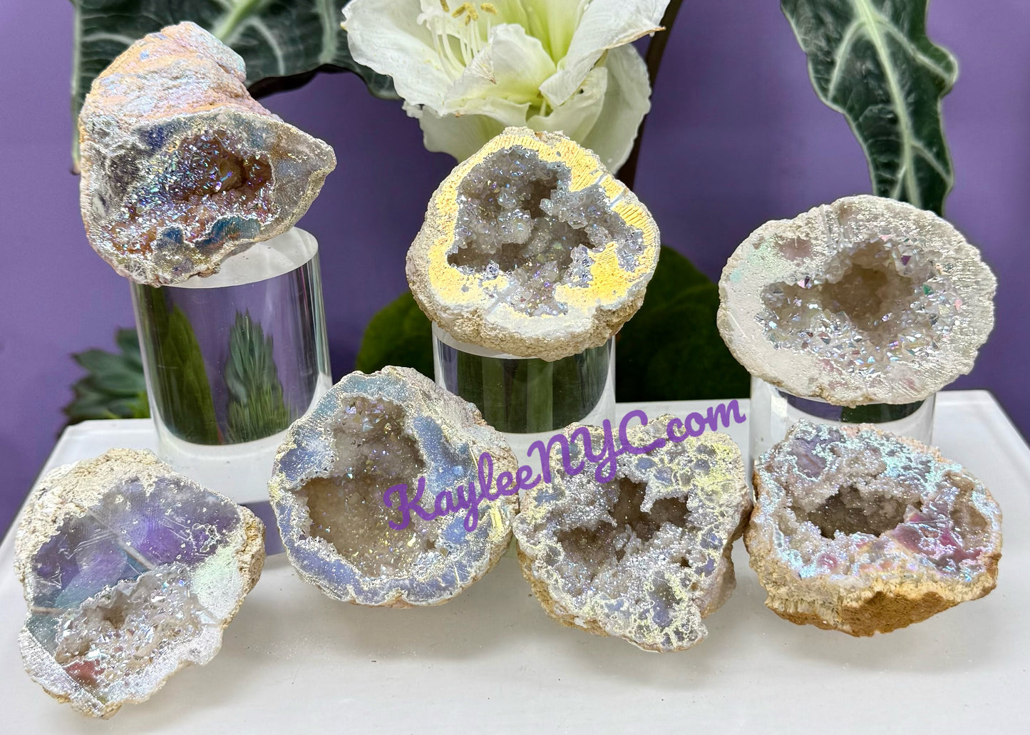 Wholesale Lot 2 Lbs Angel Aura White Druzy Quartz Geode Crystal Healing Energy