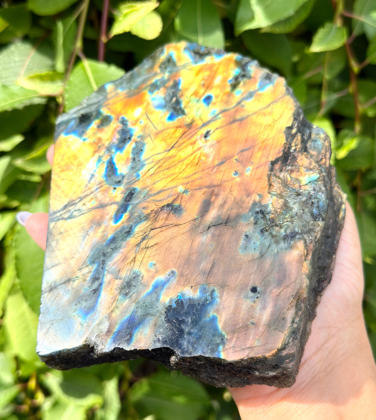 Wholesale Lot 4-5 pcs Natural Labradorite Slab Crystal Healing Energy