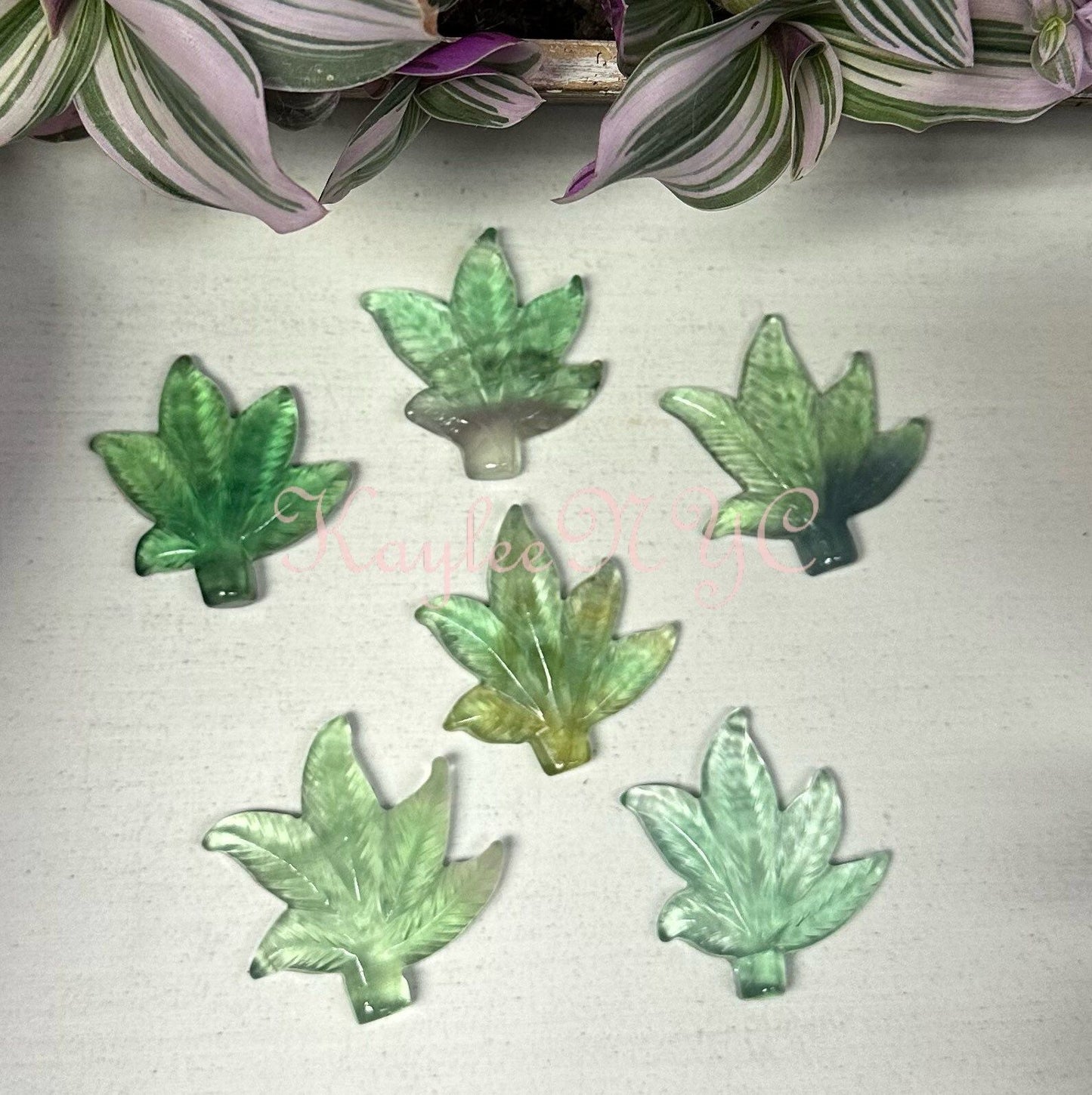 Wholesale Lot 6 PCs 2” Natural Fluorite Pot Leaf Healing Energy