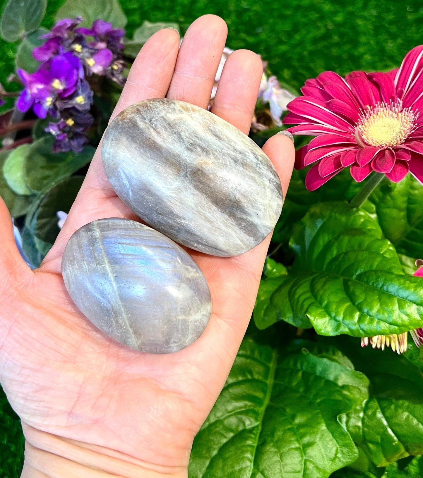 Wholesale Lot 2 Lbs Natural Moonstone Palm Stone Crystal Healing Energy