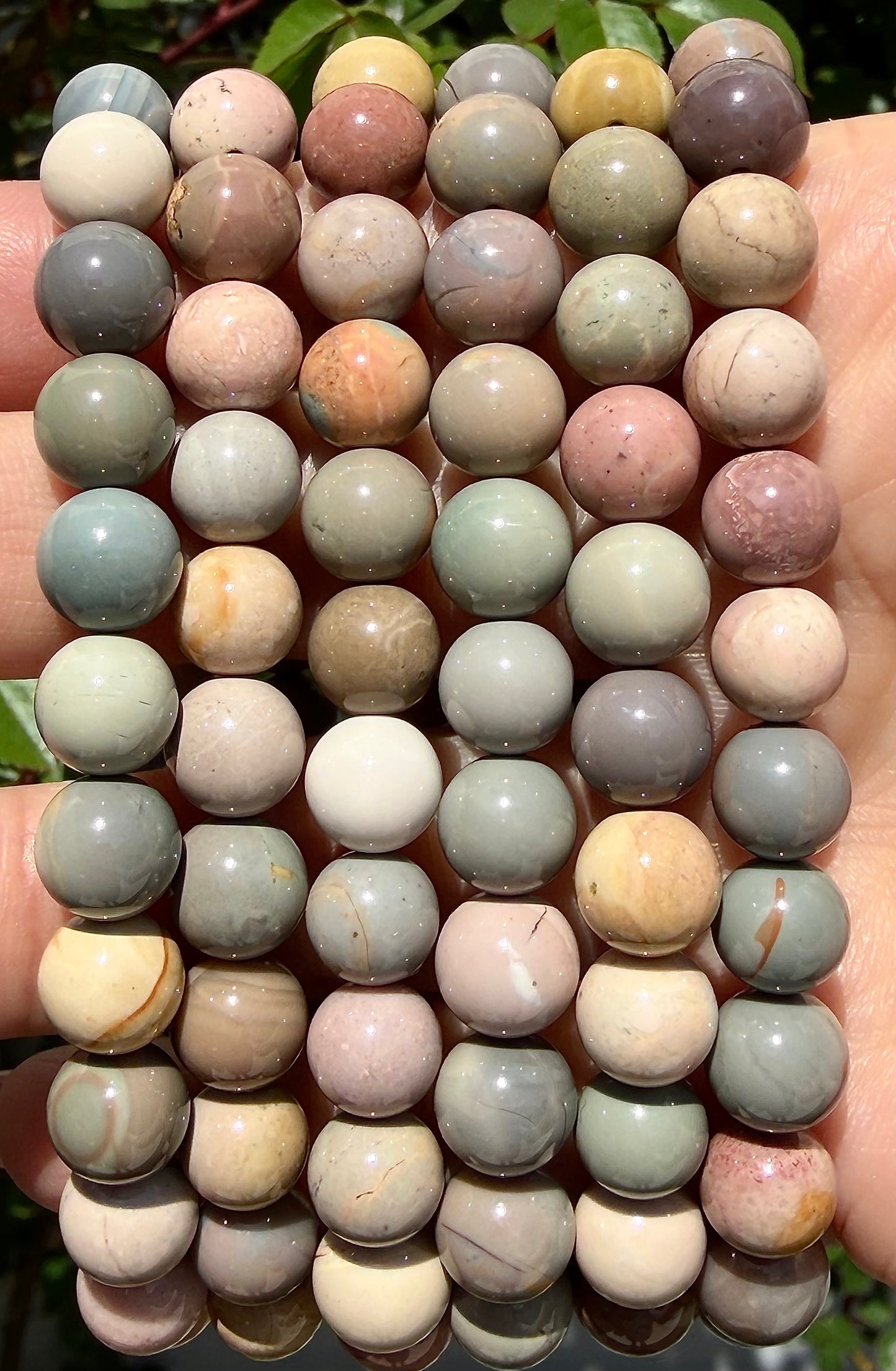 6 PCs 8mm Natural Alashan Agate Stretch Bracelet 7.5”