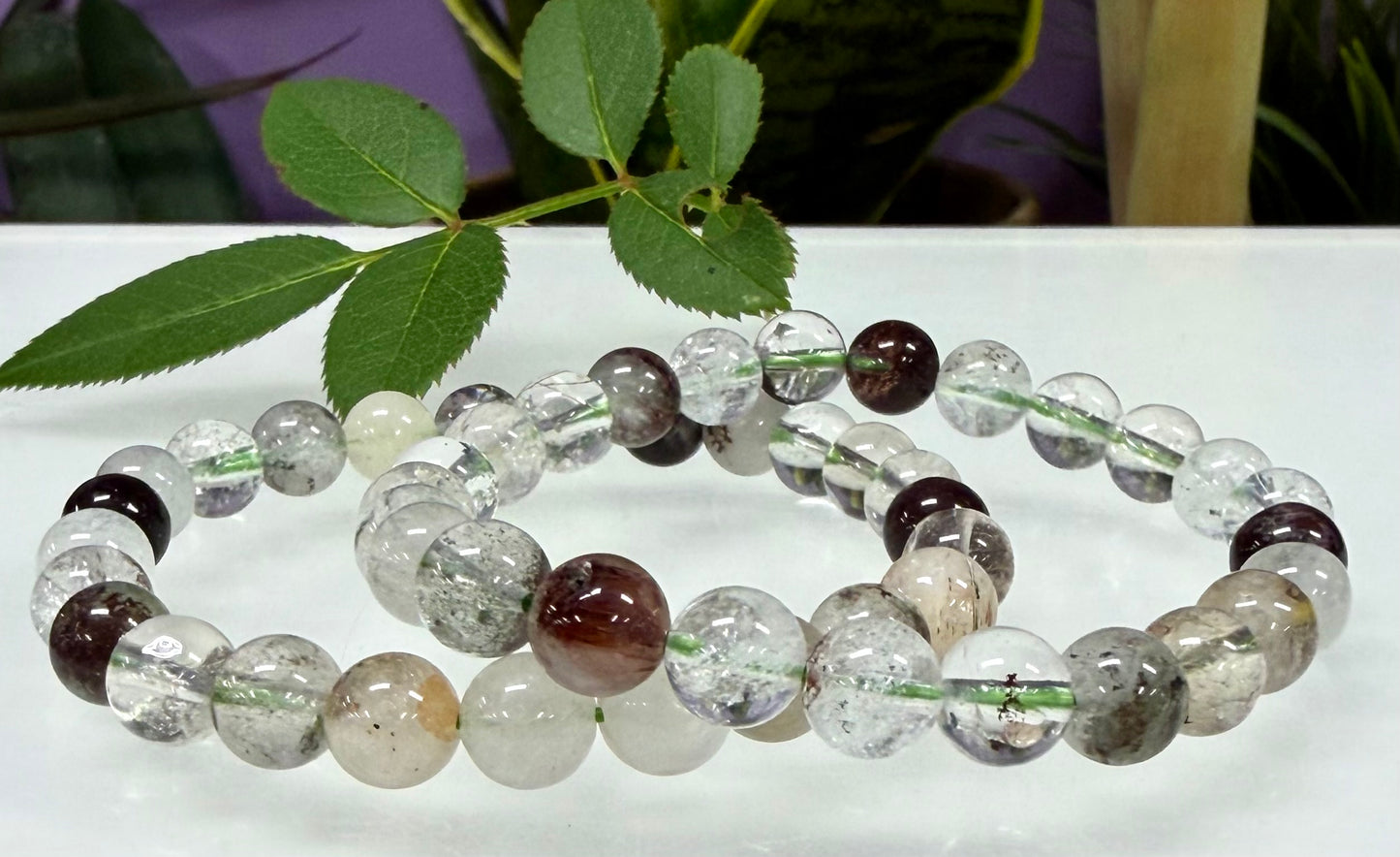 Wholesale Lot 6 Pcs Natural Garden Quartz Lodalite 8mm 7.5” Stretch Bracelet