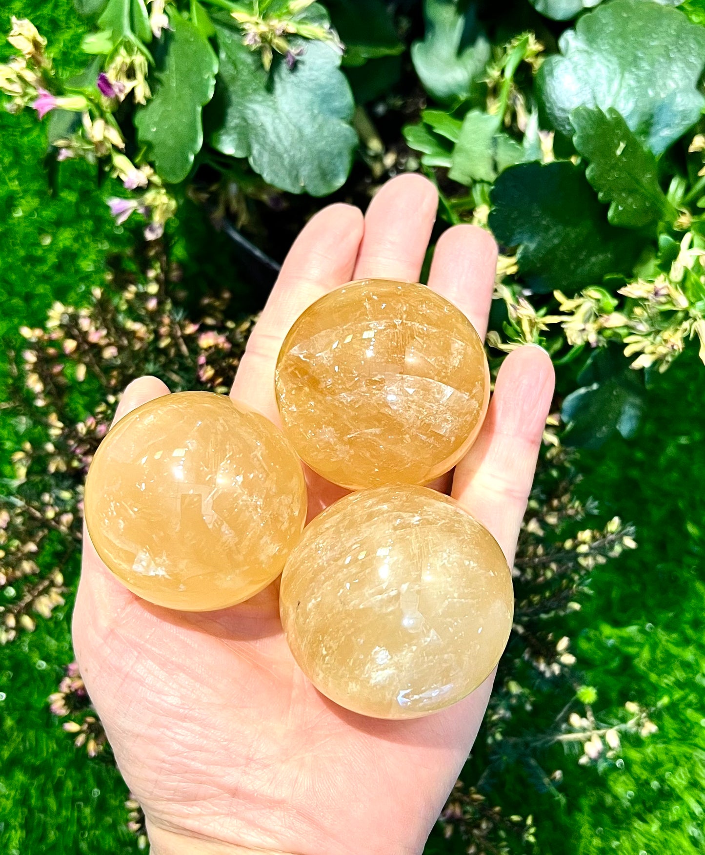 4 lbs Natural Honey Calcite Sphere