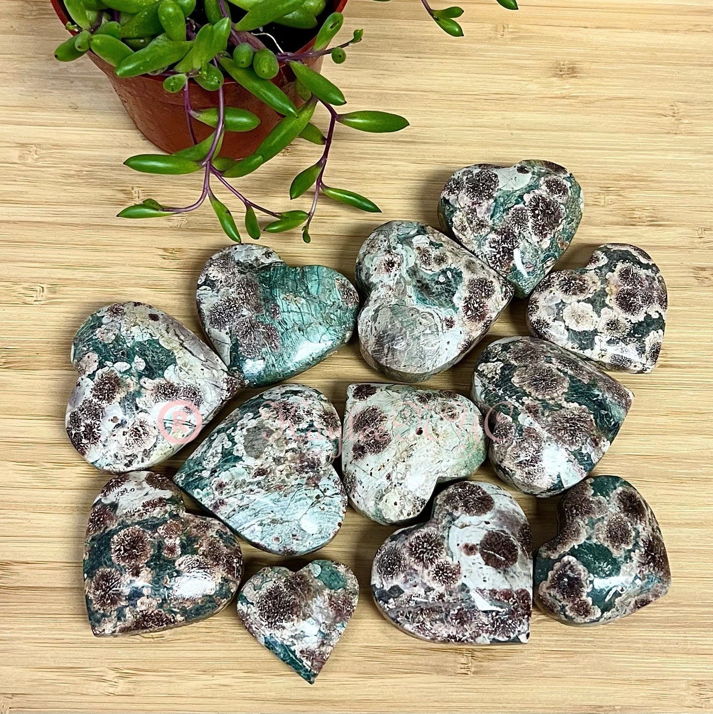 Wholesale Lot 2 lb Natural Green Flower Jasper Crystal Heart Healing Energy