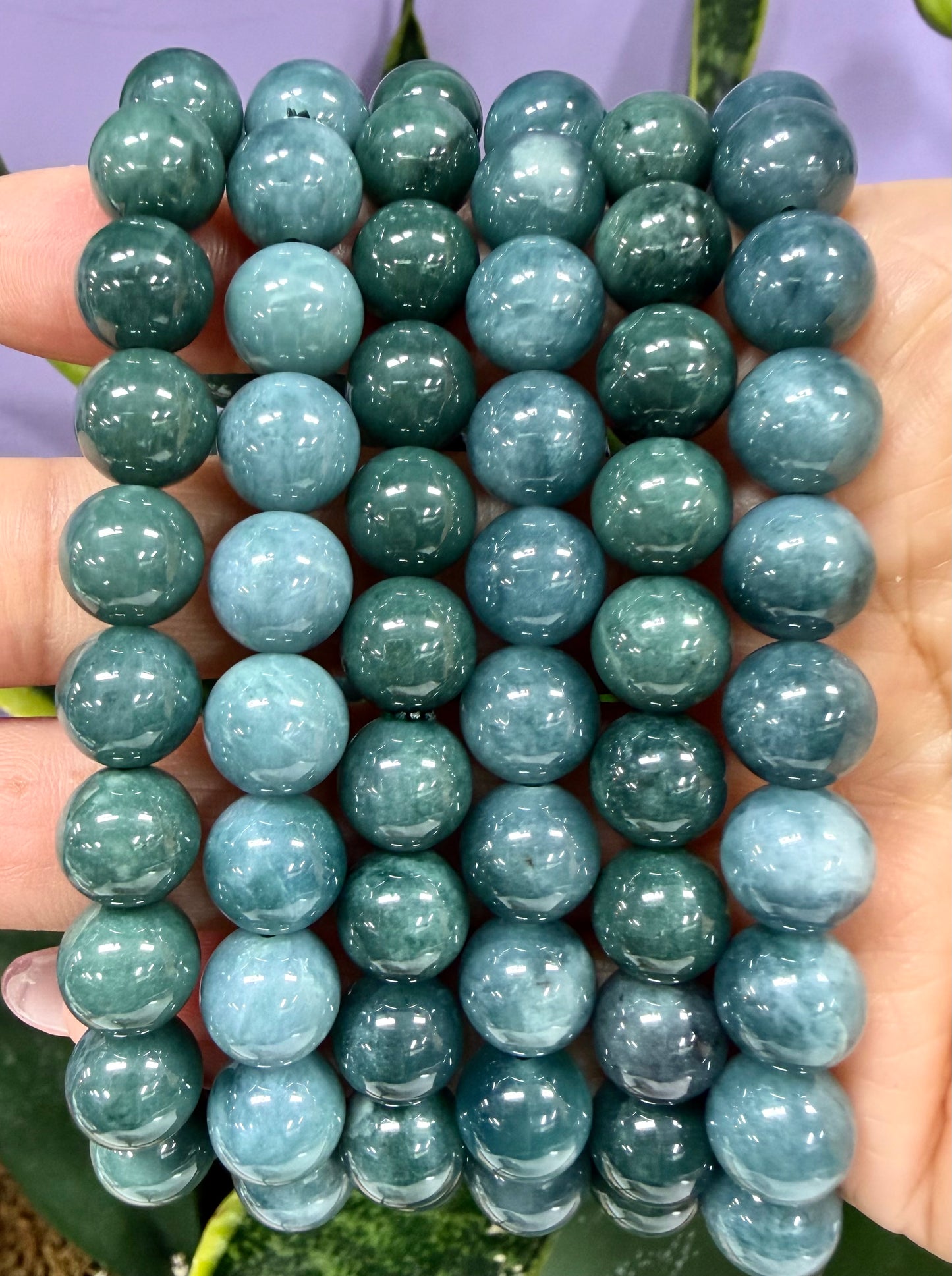Wholesale 6 Pcs 9.5-10mm Jade Jadeite Crystal Healing Stretch Bracelet 8”