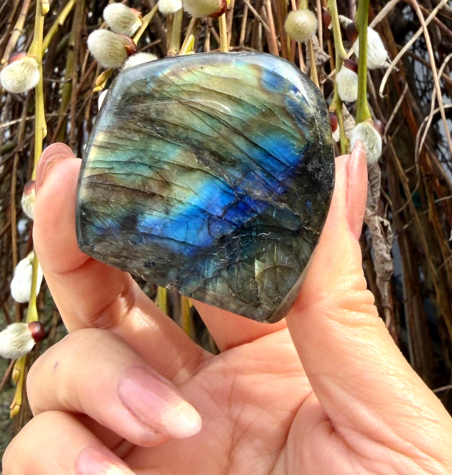 Wholesale Lot 3 lbs Natural Labradorite Freeform Crystal Healing Energy