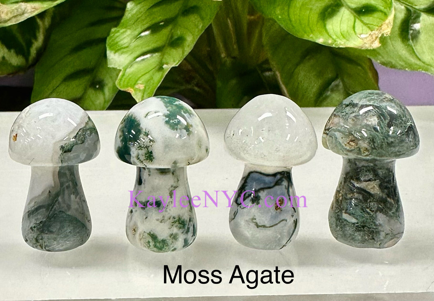 Wholesale Lot 12 PCs 3.5cm Natural mix Crystal Mushroom Healing Energy