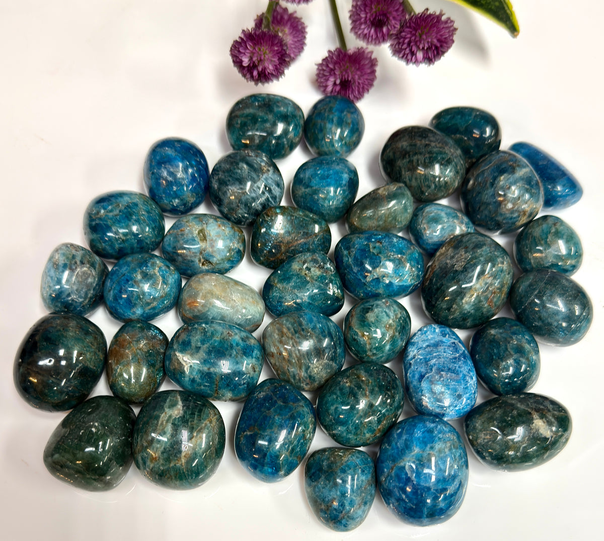 2 lbs Natural Apatite Tumble Crystals healing energy