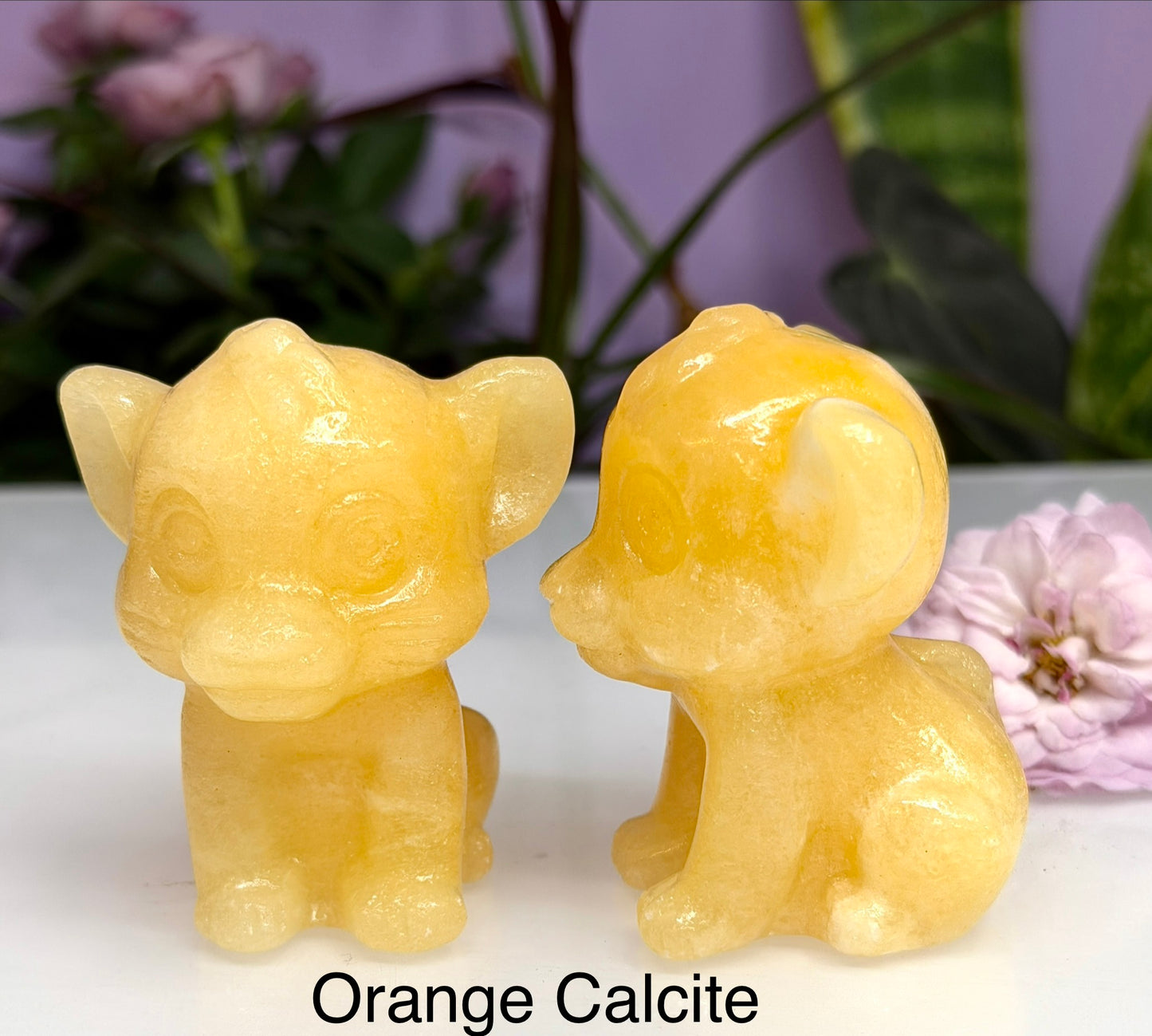 5PCs 6cm Mixed Natural Crystal Lion Cub King Healing Energy