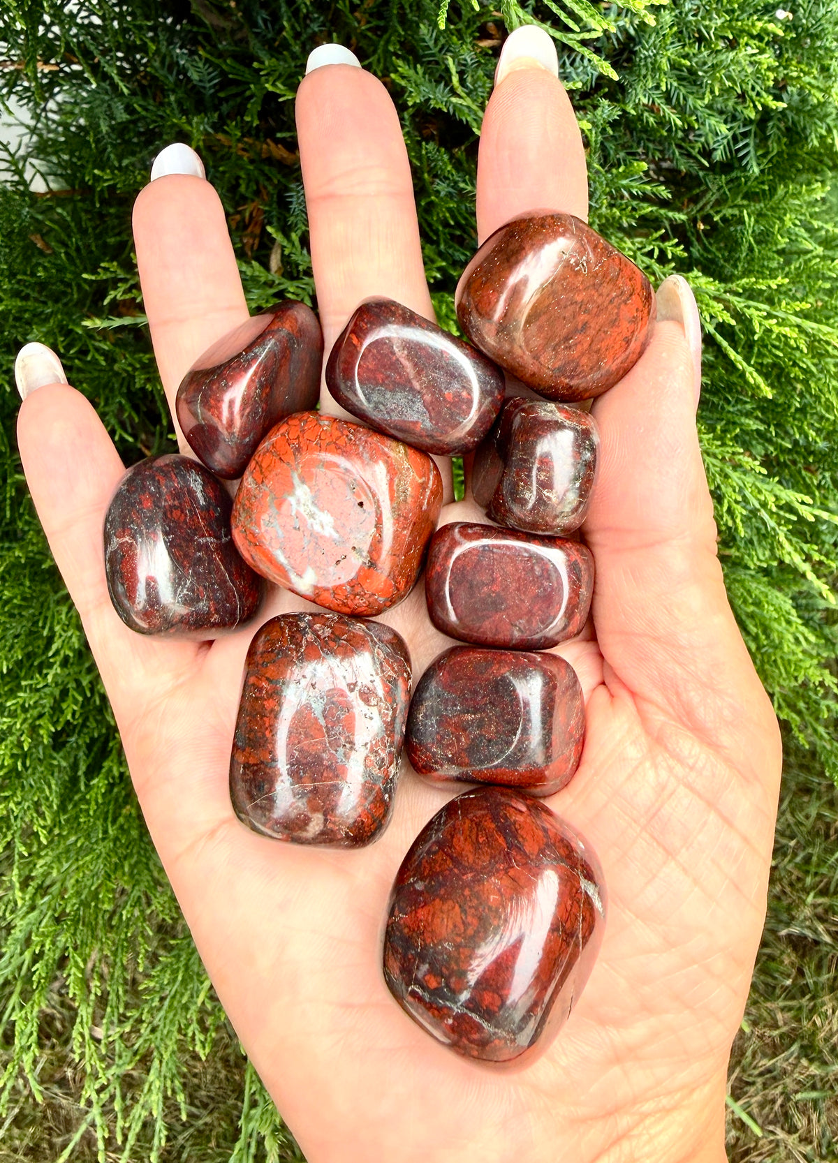 Wholesale Lot 2 lbs Natural Brecciated Jasper Tumble Crystal Healing Energy