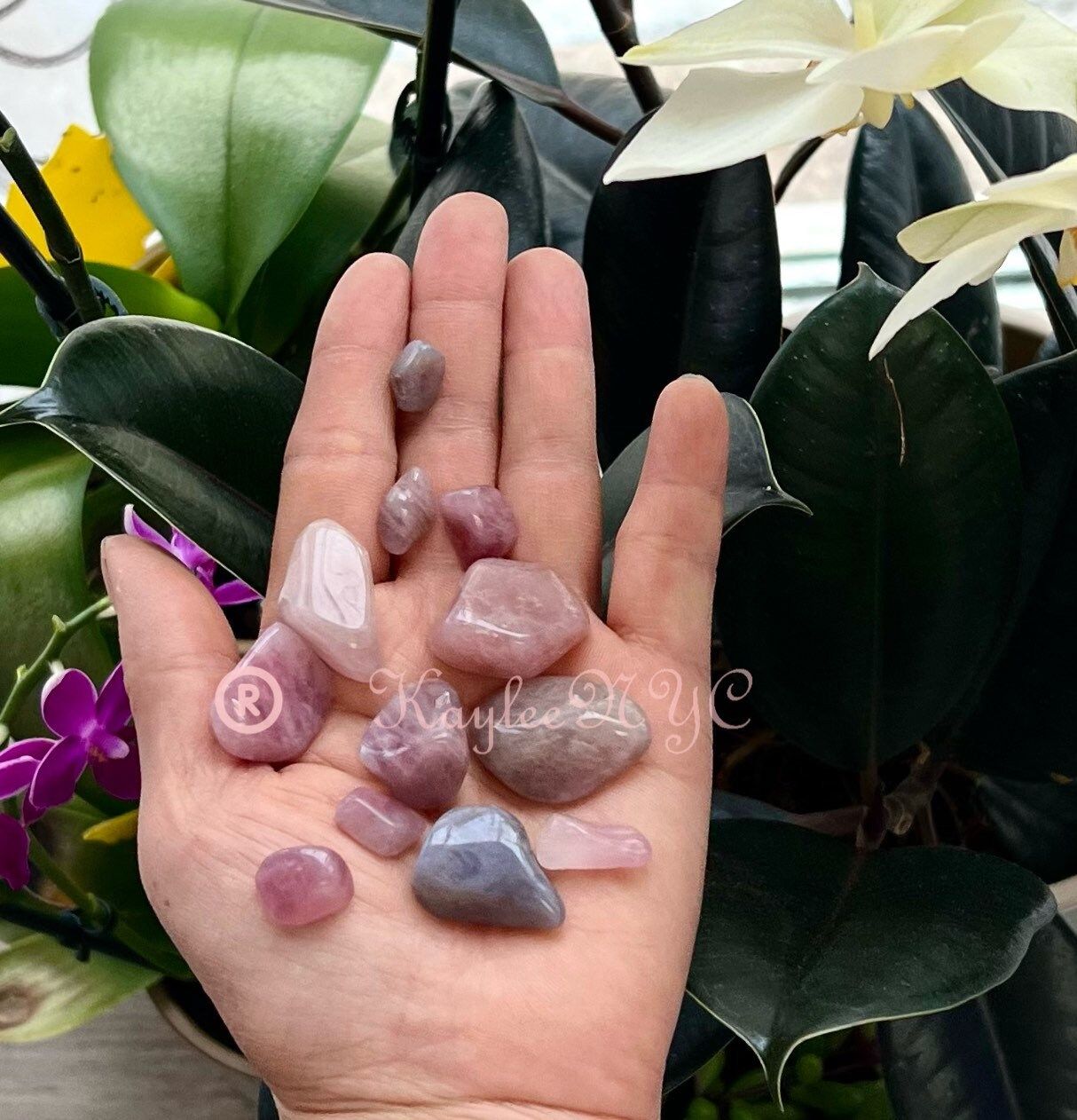 Wholesale Lot 1 lb Natural Purple Rose Quartz Tumble/Chip Healing Energy Nice Quality