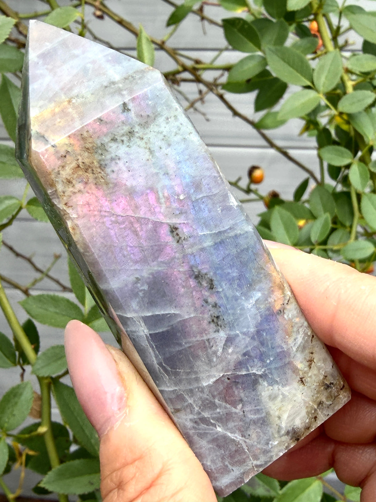 Wholesale Lot 2 lbs Natural Sunset Labradorite obelisk Tower Point Crystal Healing Energy
