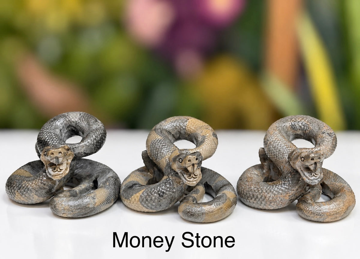 Wholesale Lot 4 Pcs Natural Money Stone and Leopard Stone Snakes Healing Energy