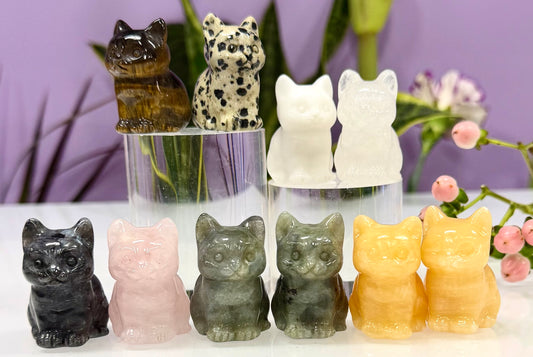 10 PCs Natural Crystals Cat Healing Energy
