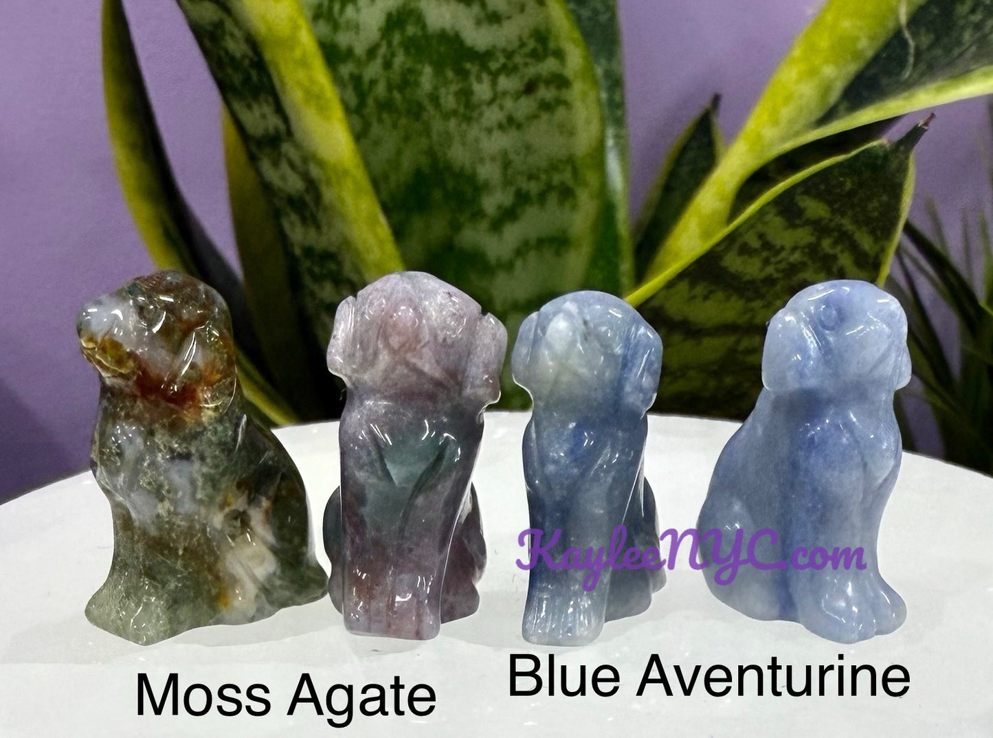 Wholesale Lot 16 PCs Mix Crystals Dogs Crystal Healing Energy