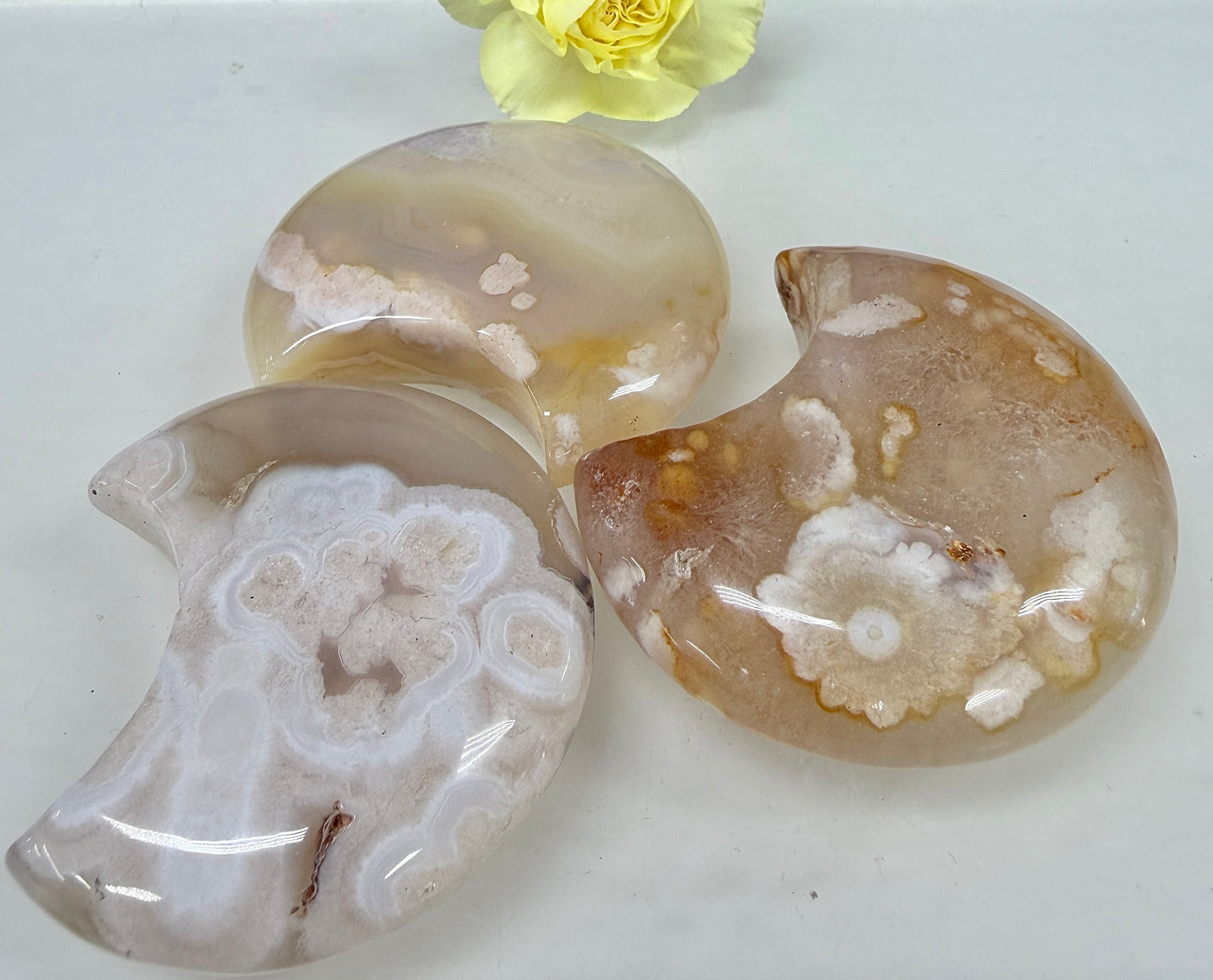 Wholesale Lot 1 lb Natural Flower Agate Crystal Moon Healing Energy