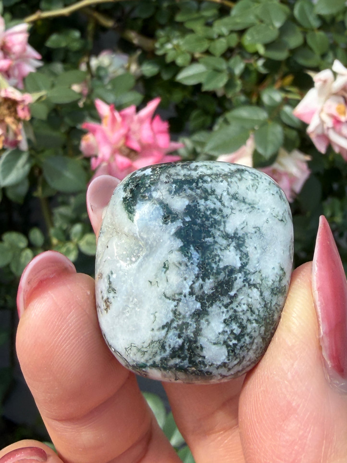 Wholesale Lot 2 lbs Natural Moss Agate Tumble Crystal Healing Energy