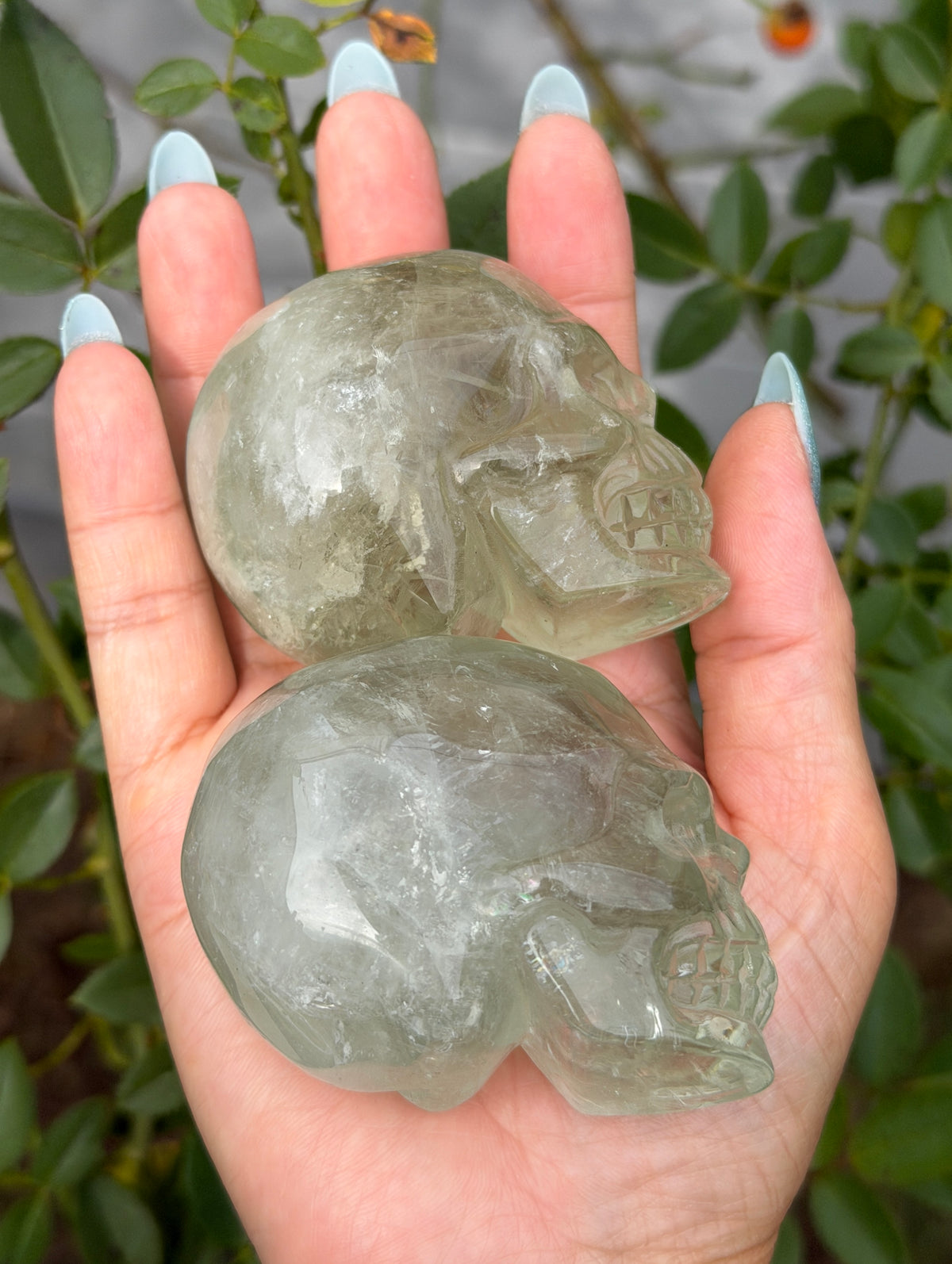 4 pcs Prasiolite Green Amethyst Skull Crystals Healing Energy