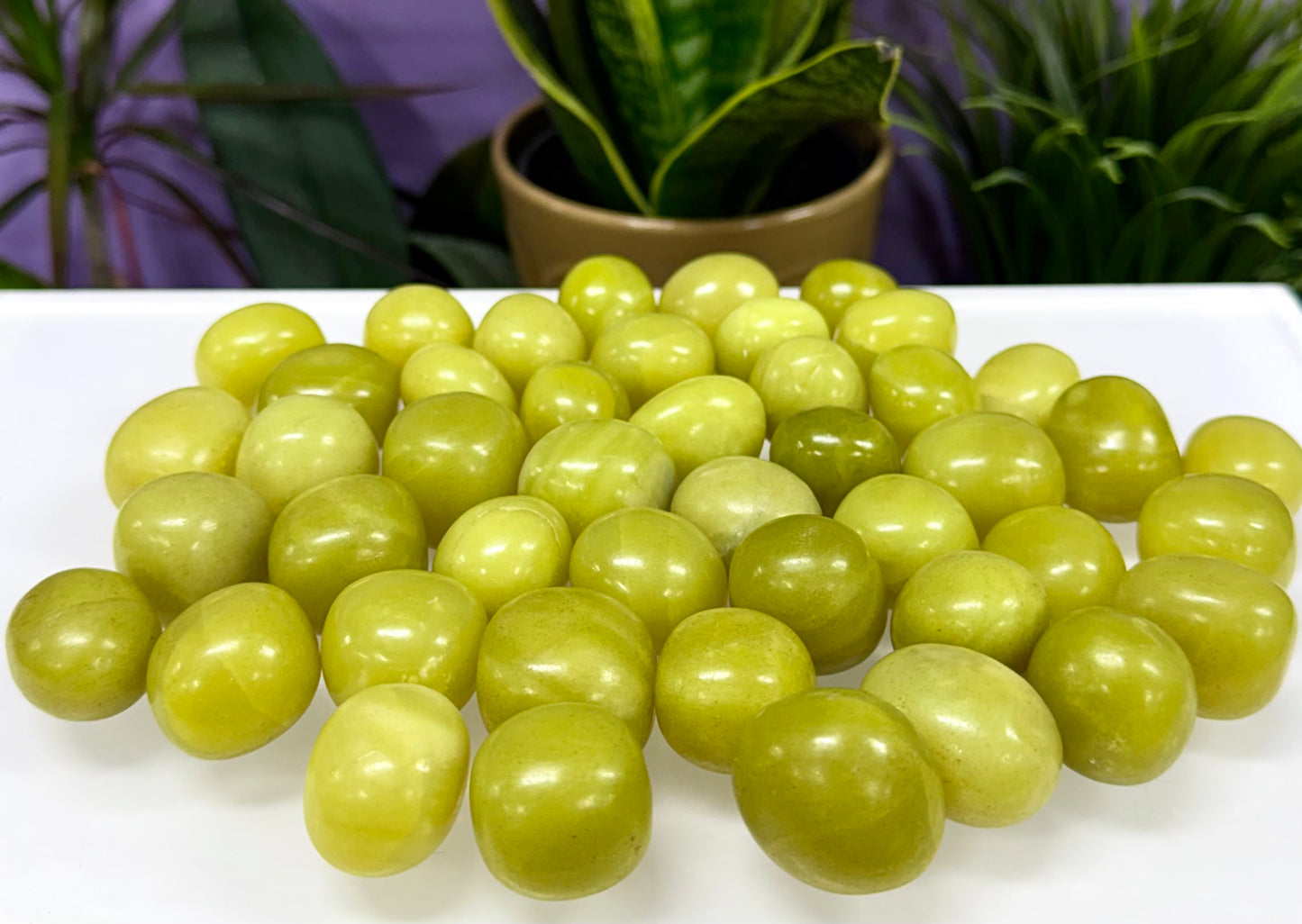 2 lbs Natural Olive Jade Tumble Crystal Healing Energy