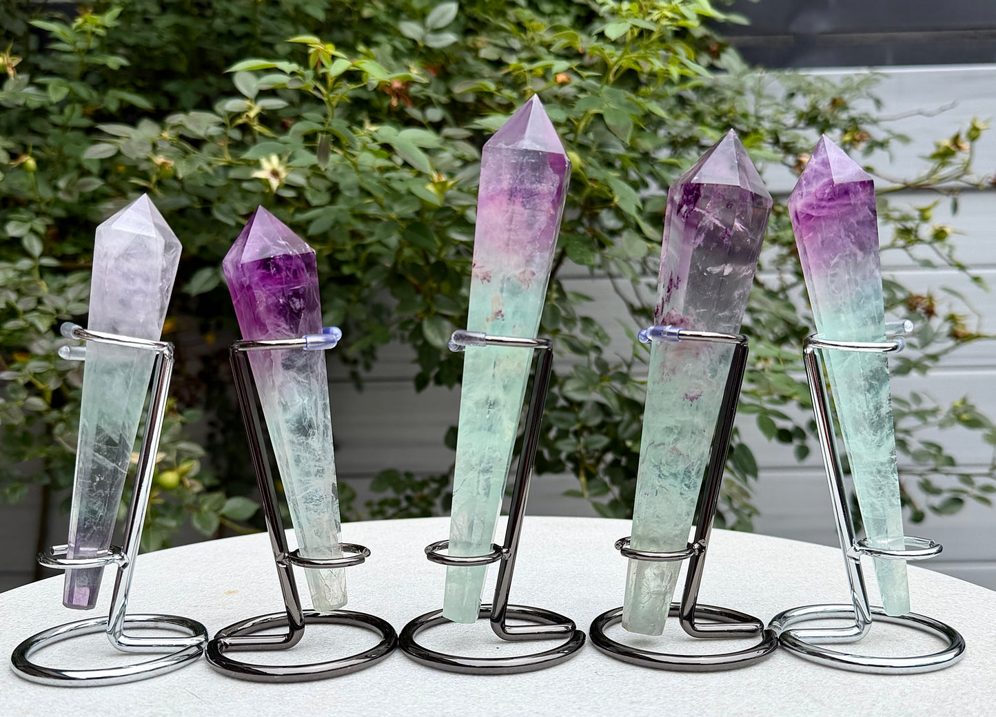 Wholesale Lot 5 pcs Natural Watermelon Fluorite Scepter w stand Crystal Energy