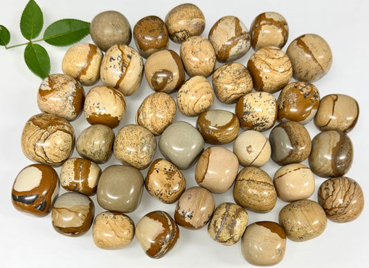 2 lbs Natural Picture Jasper Tumble Crystal Healing Energy