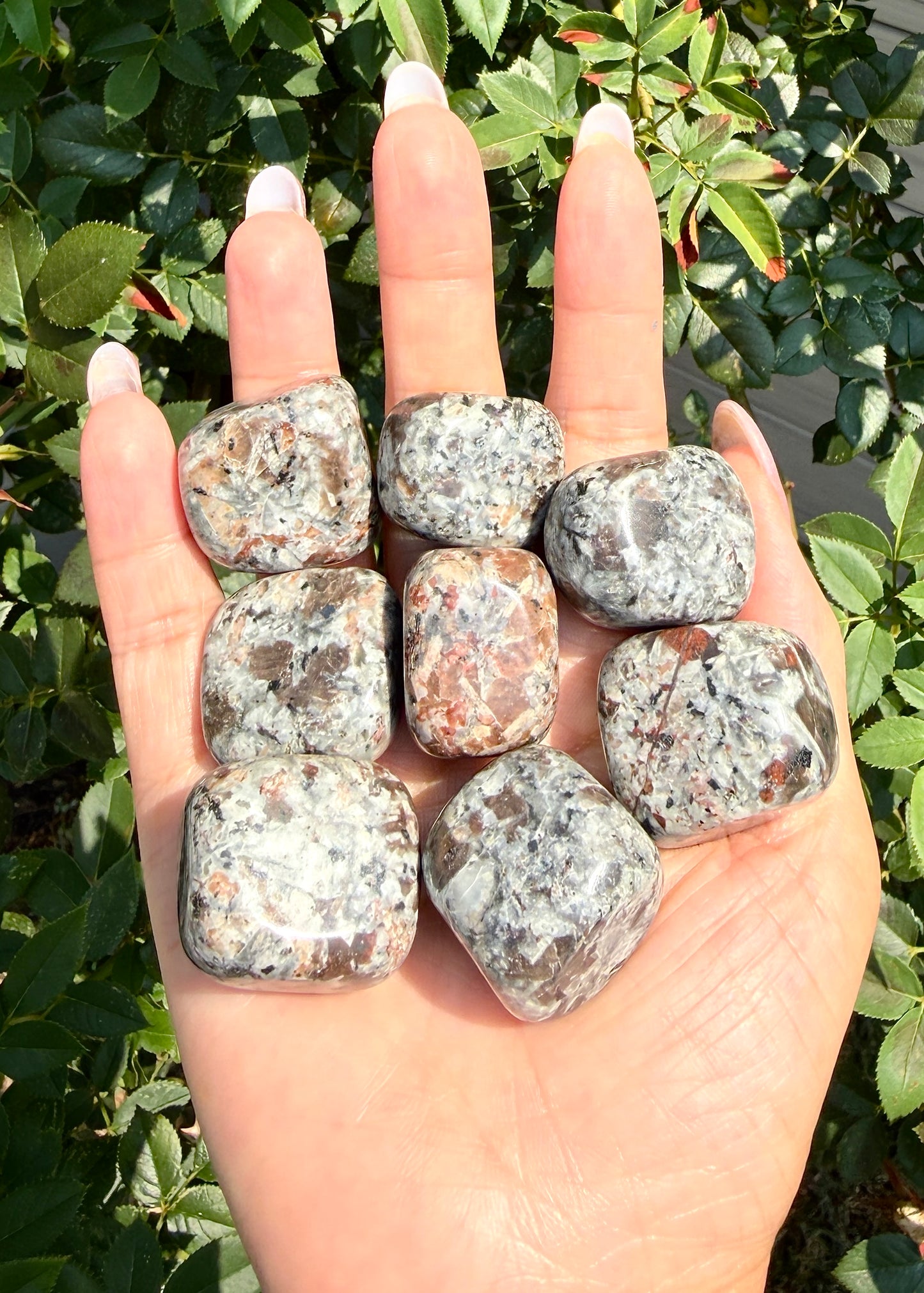 2 lbs Natural Yooperlite aka Emberlite Tumble