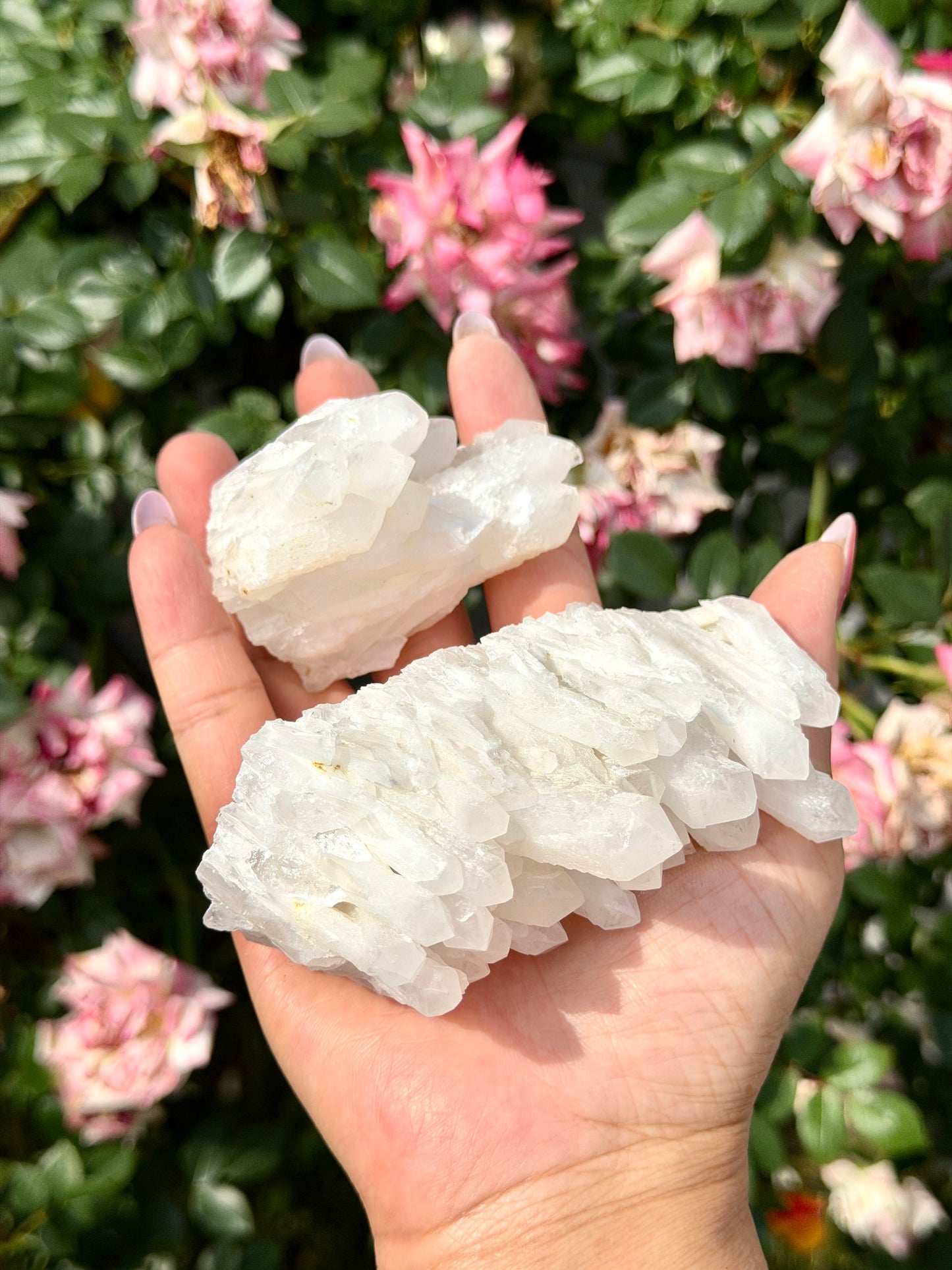 Wholesale Lot 4-6 pcs Natural Druzy Quartz Cluster Rough Crystal Healing Energy