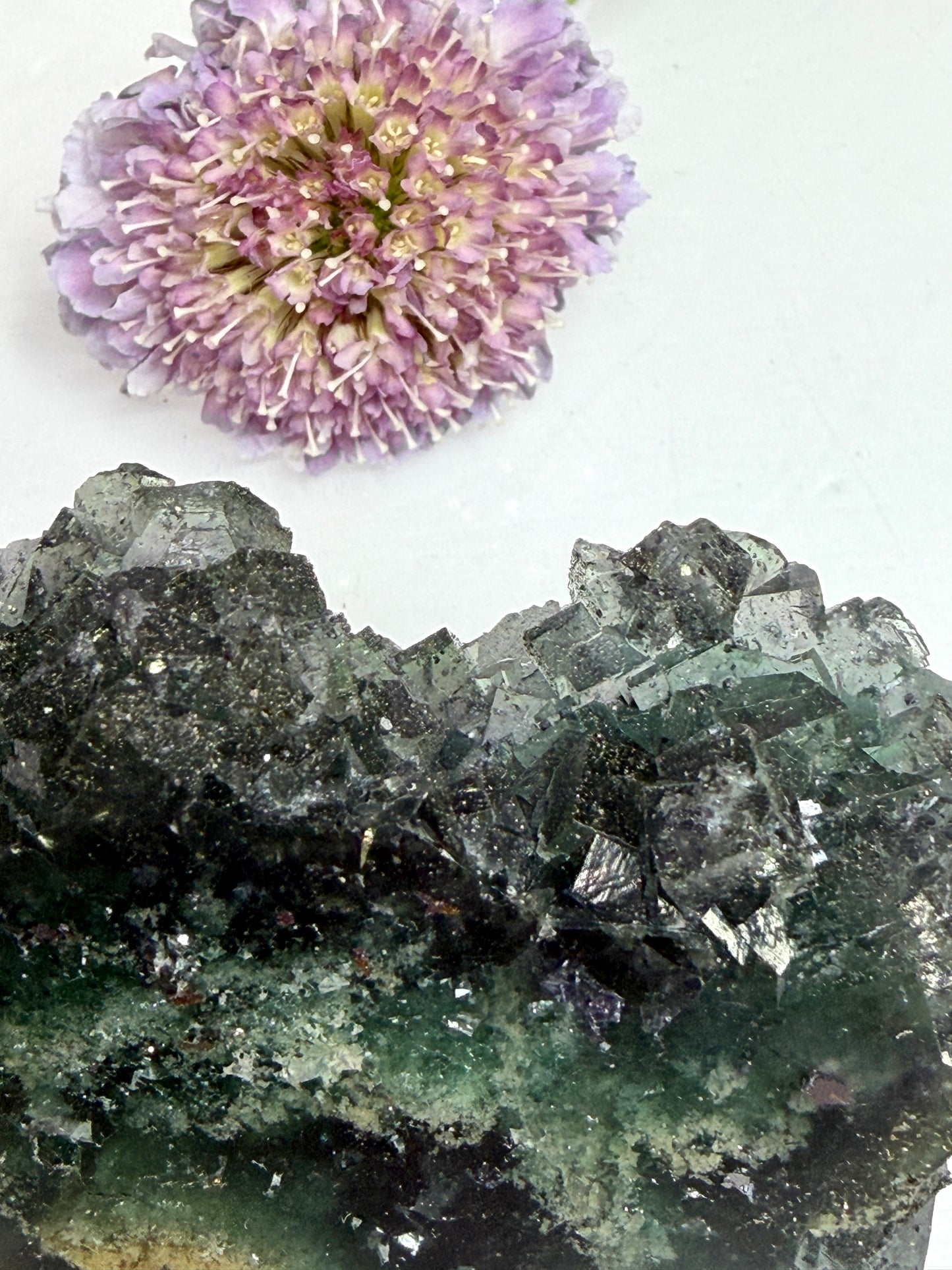 Wholesale 2 lbs Blue Cubic Fluorite with Pyrite Tower Natural Crystal Energy